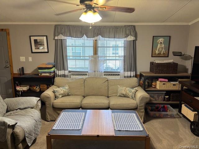 Single Family Mill  Suffolk County, NY 11933, MLS-909061-10