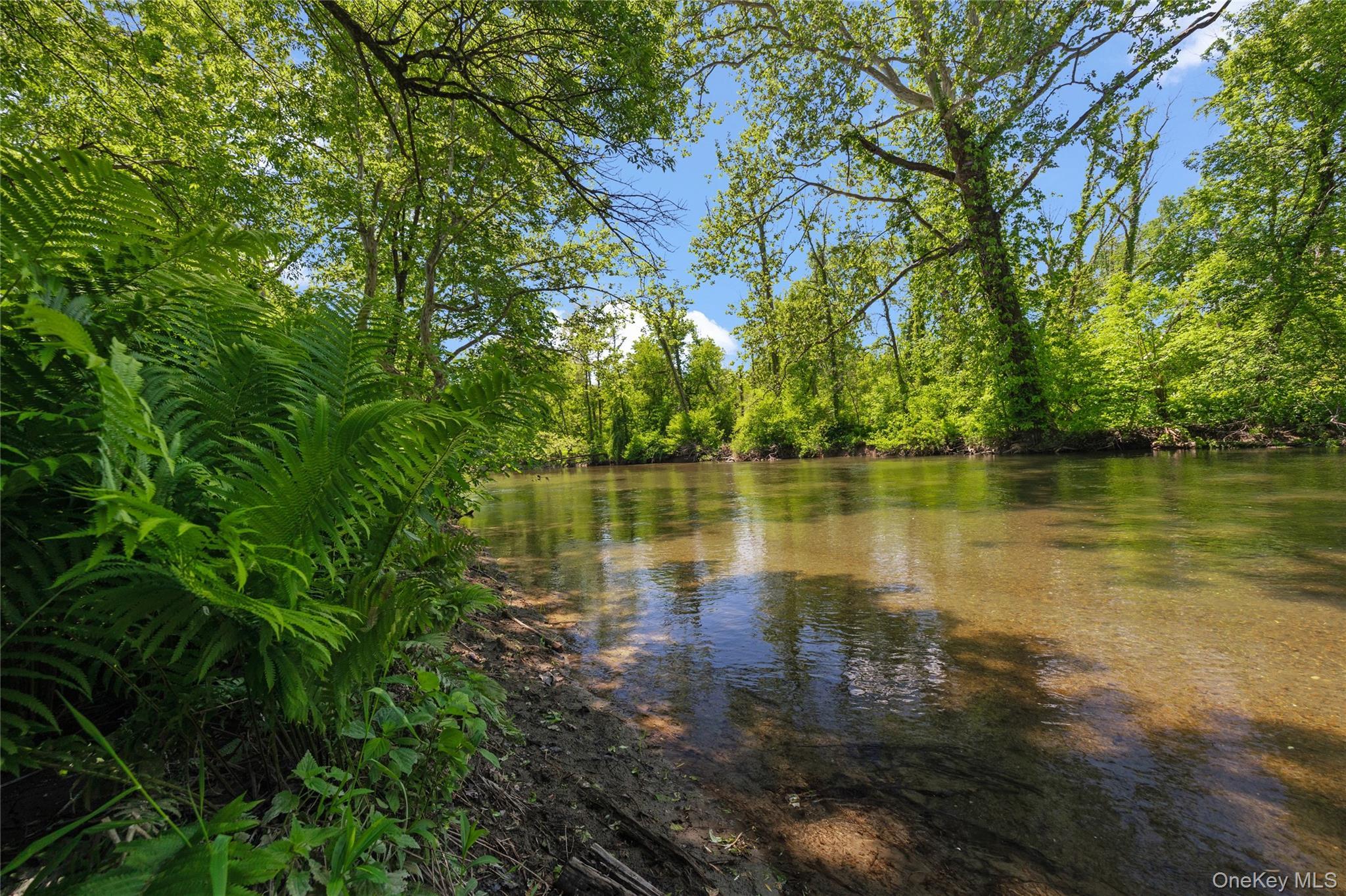 Single Family Buckwheat Bridge  Columbia County, NY 12526, MLS-909070-4