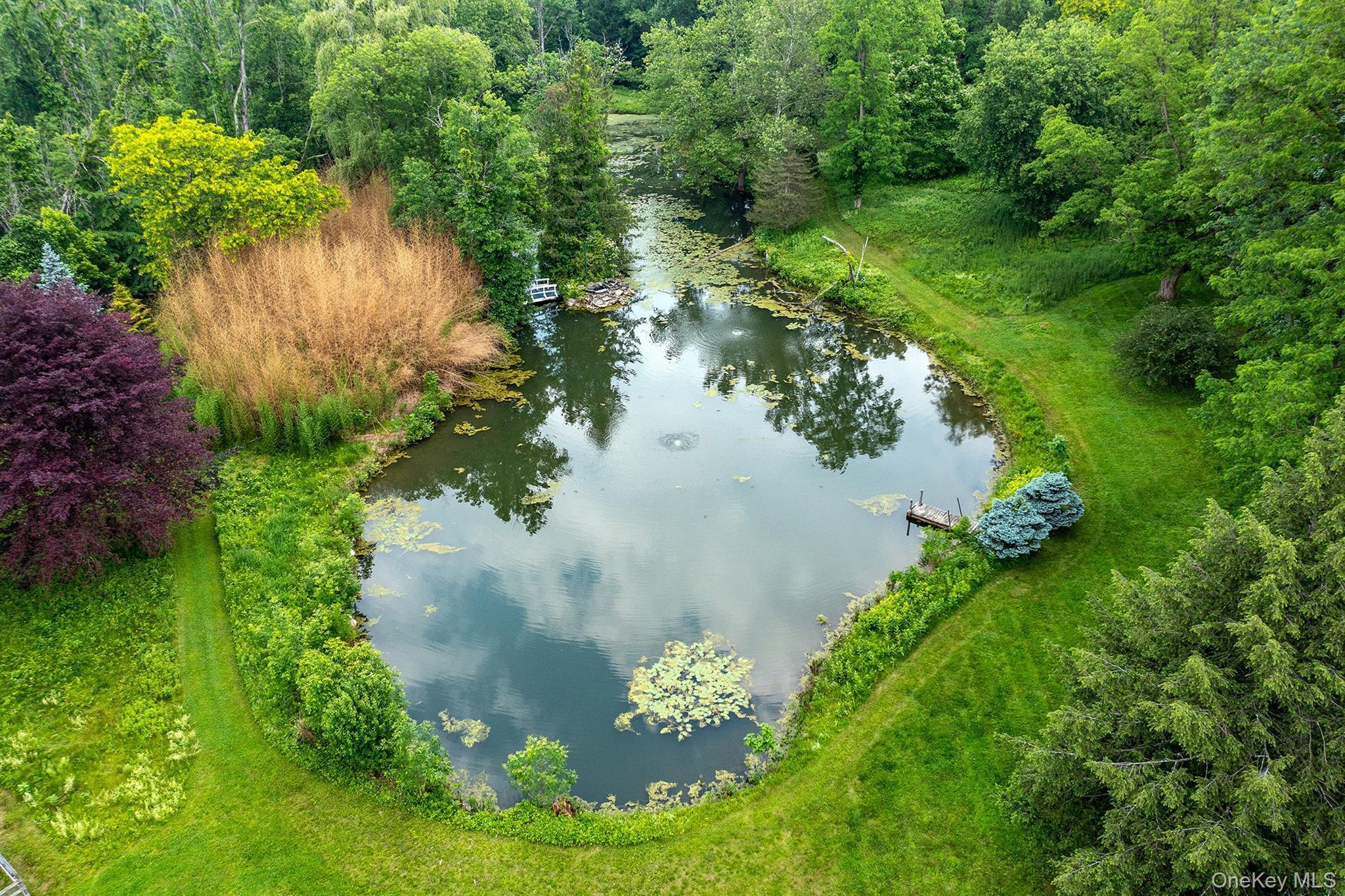 Single Family Buckwheat Bridge  Columbia County, NY 12526, MLS-909070-42