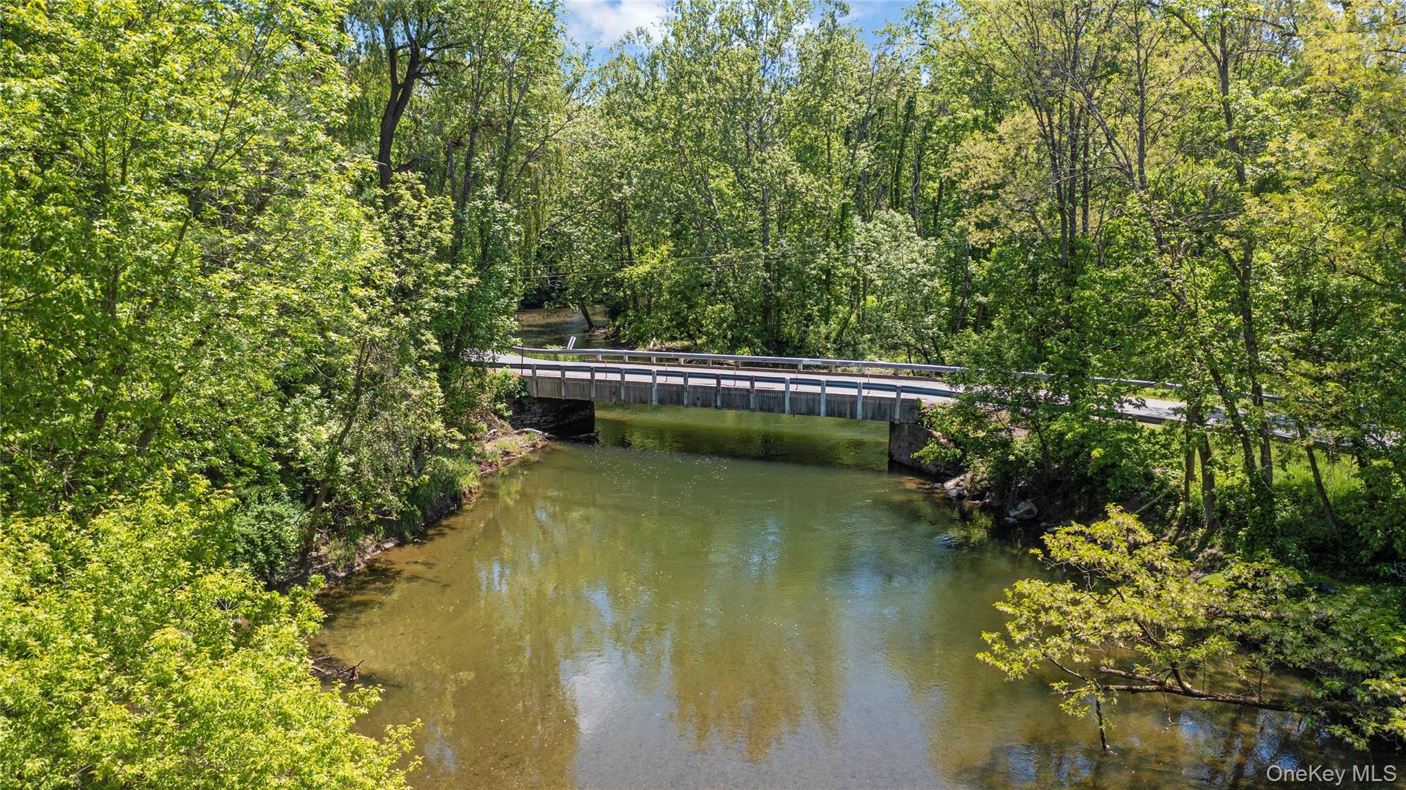 Single Family Buckwheat Bridge  Columbia County, NY 12526, MLS-909070-45
