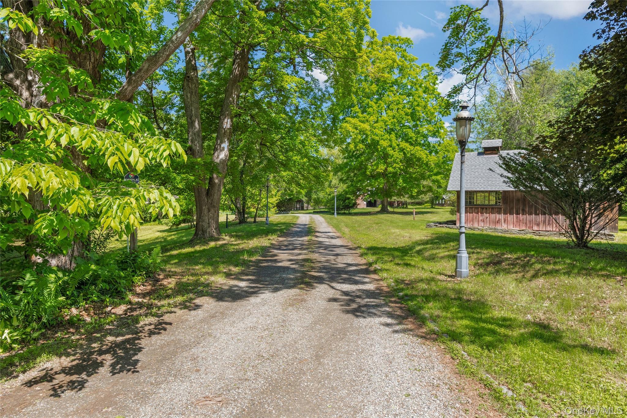 Single Family Buckwheat Bridge  Columbia County, NY 12526, MLS-909070-5