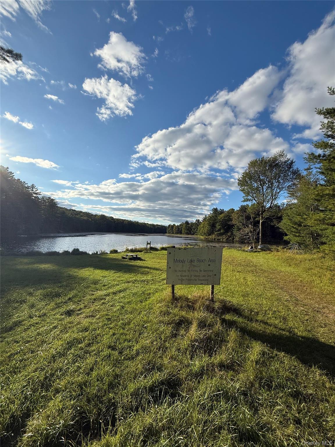 Single Family Melody Lake  Sullivan County, NY 12701, MLS-909073-31