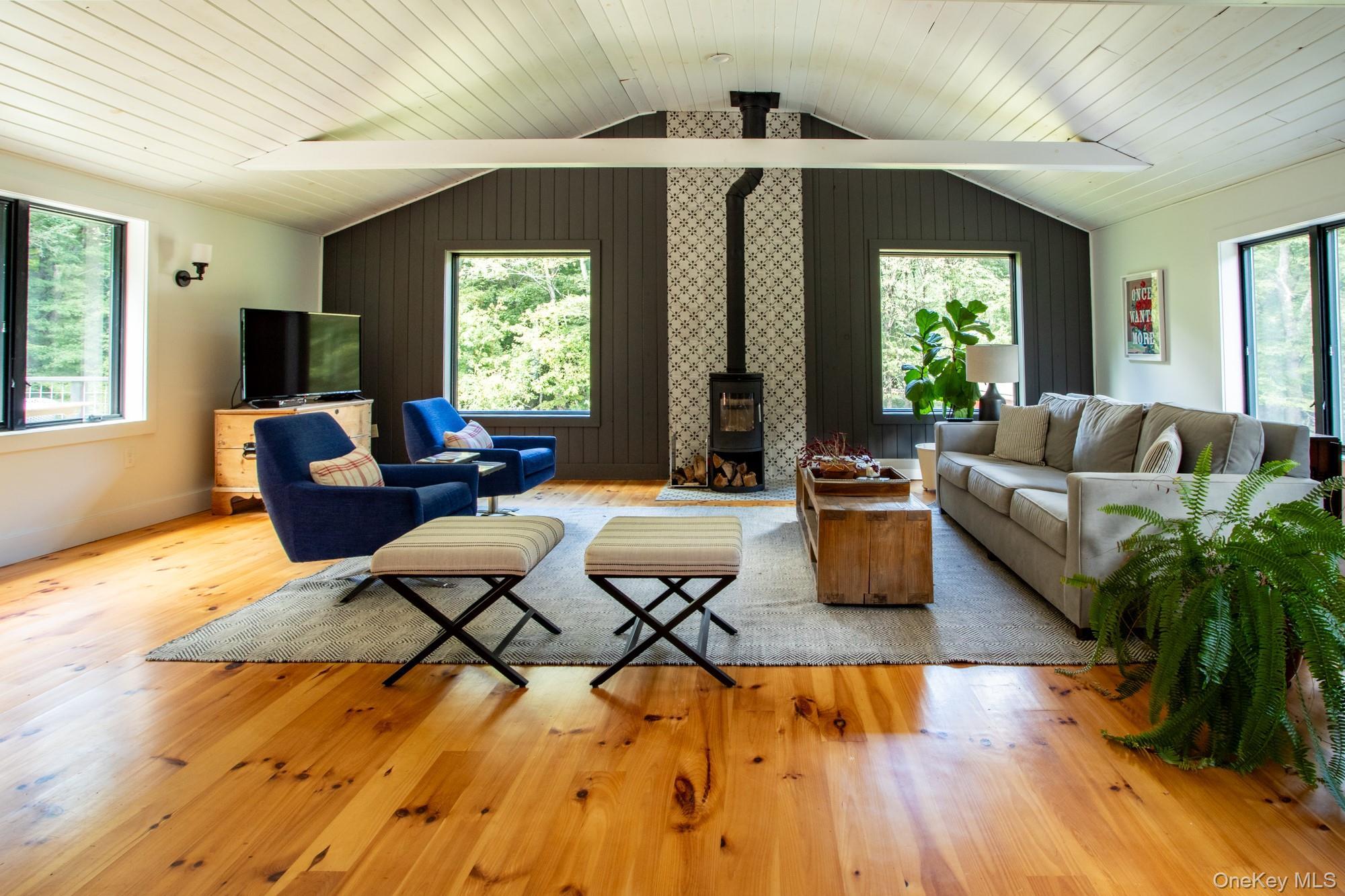 Single Family Saw Mill Ulster County, NY 12725, MLS-909096-4