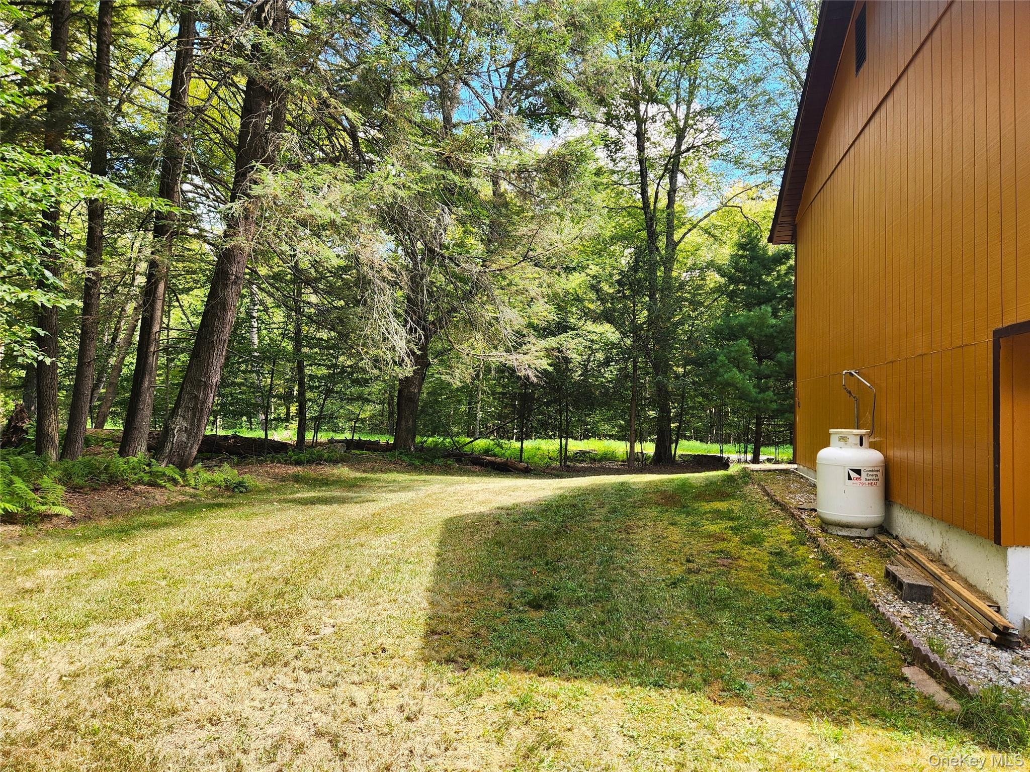 Single Family Gina  Sullivan County, NY 12778, MLS-909108-2