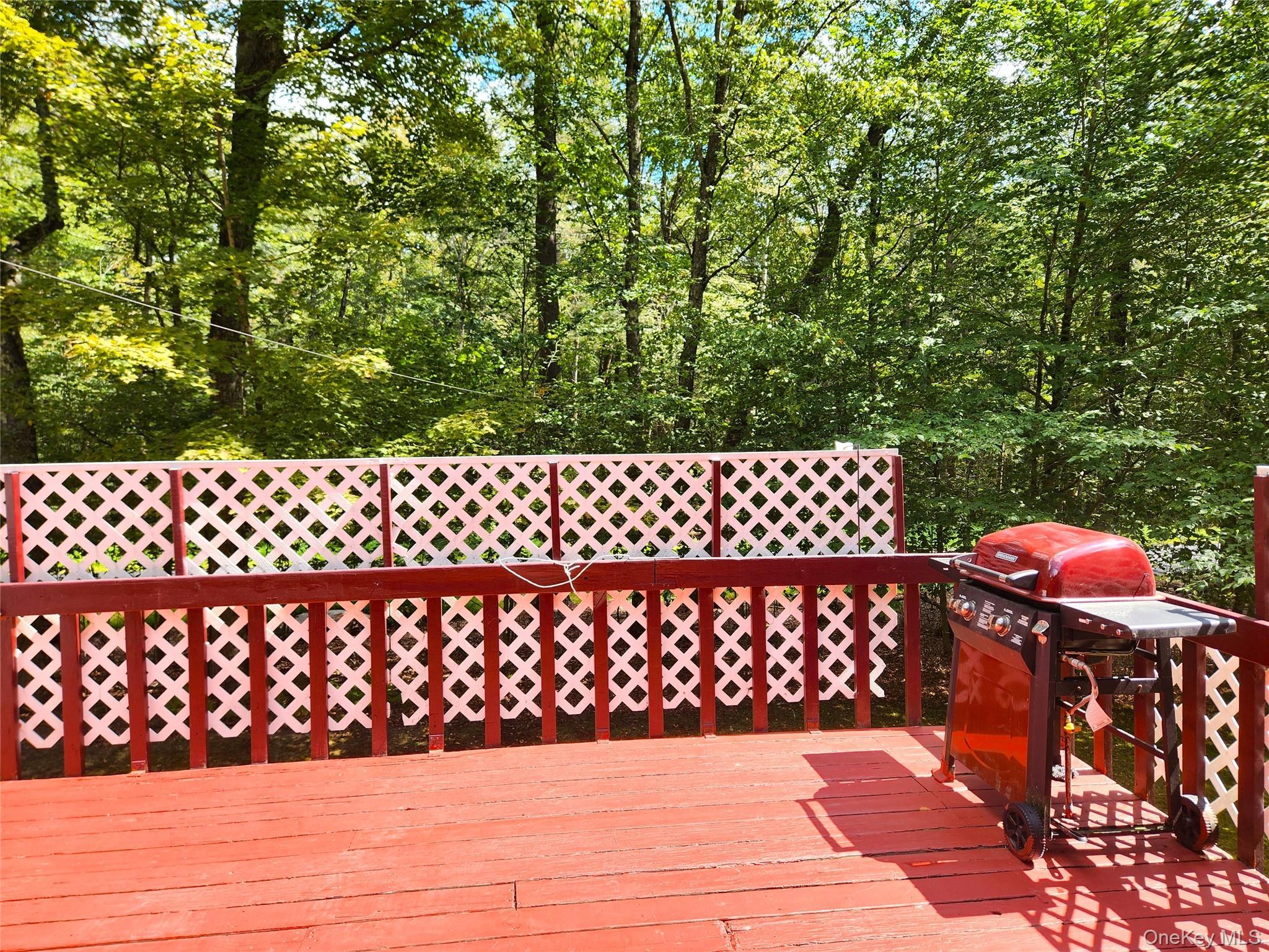 Single Family Gina  Sullivan County, NY 12778, MLS-909108-27