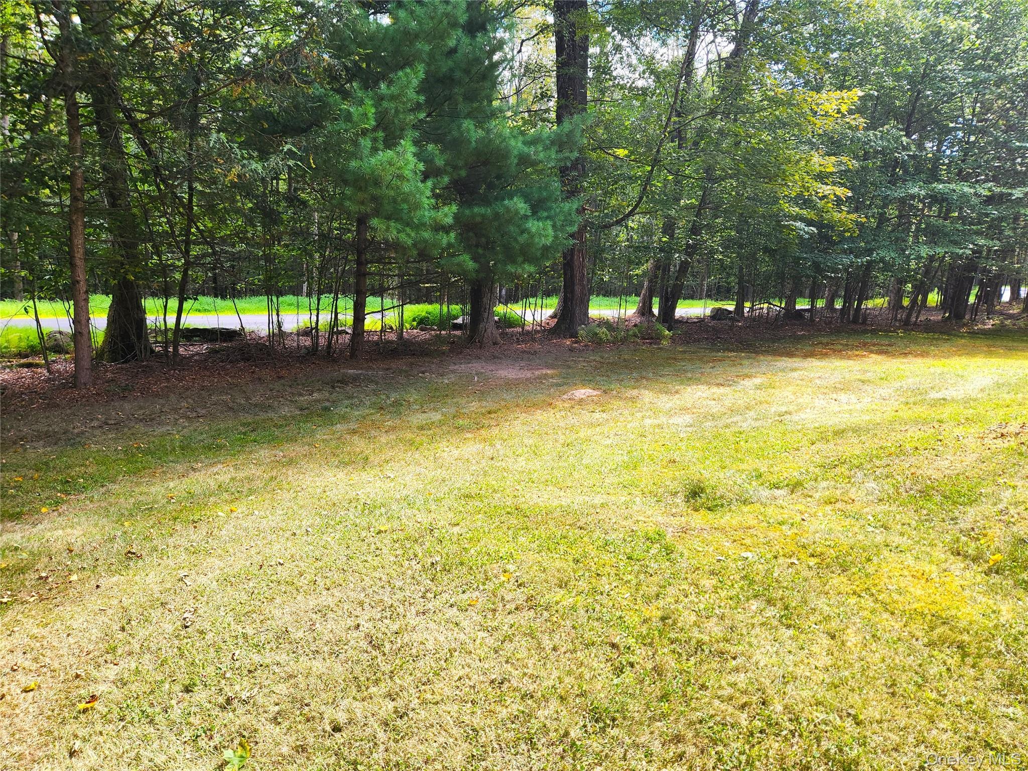 Single Family Gina  Sullivan County, NY 12778, MLS-909108-28