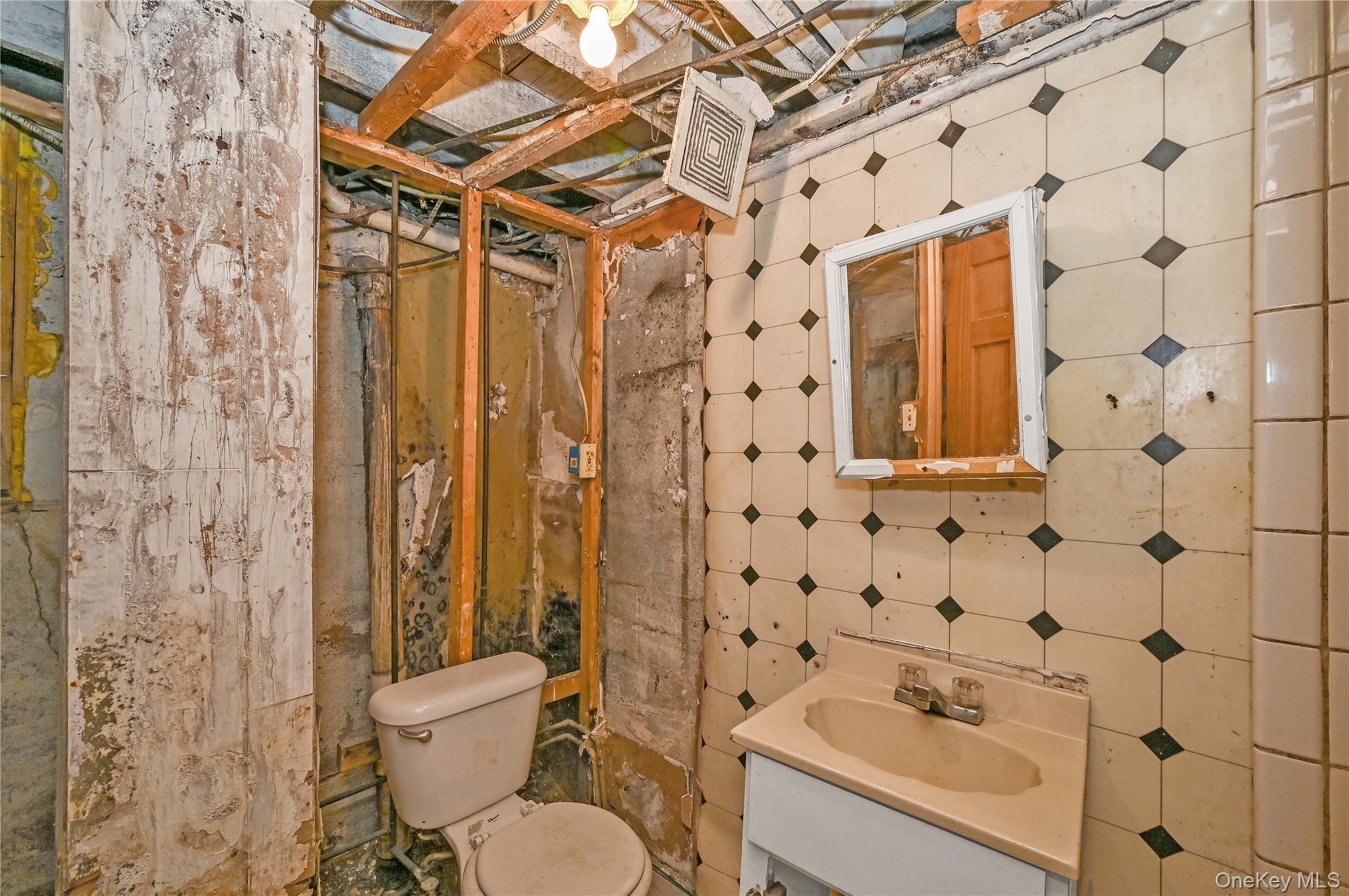 Single Family Roosevelt Nassau County, NY 11575, MLS-909208-17