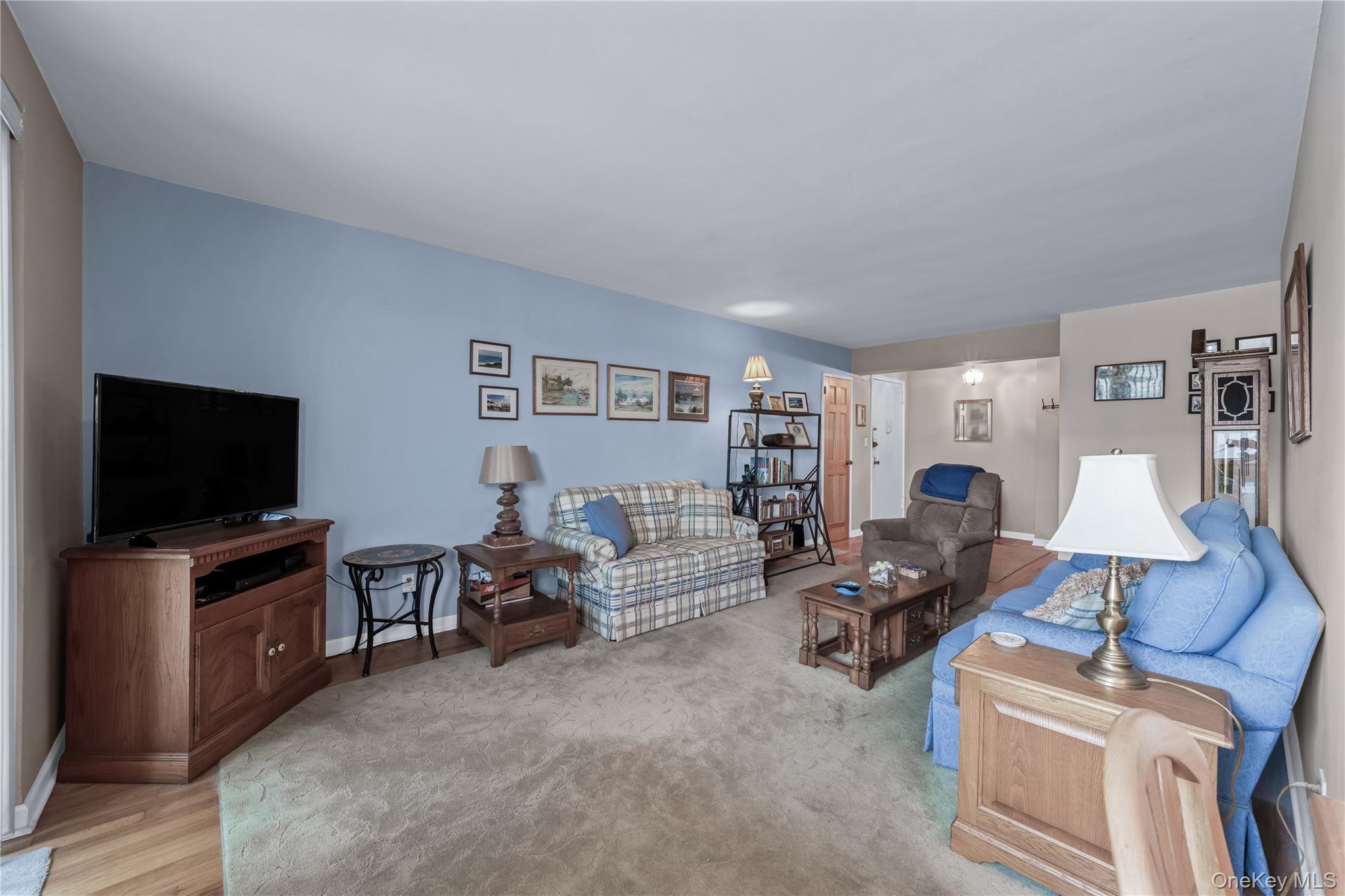 Coop 151  Queens, NY 11414, MLS-909219-5