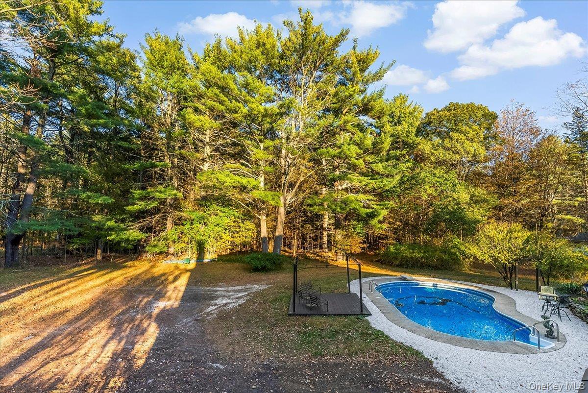 Single Family Hearts Content  Greene County, NY 12413, MLS-909223-38