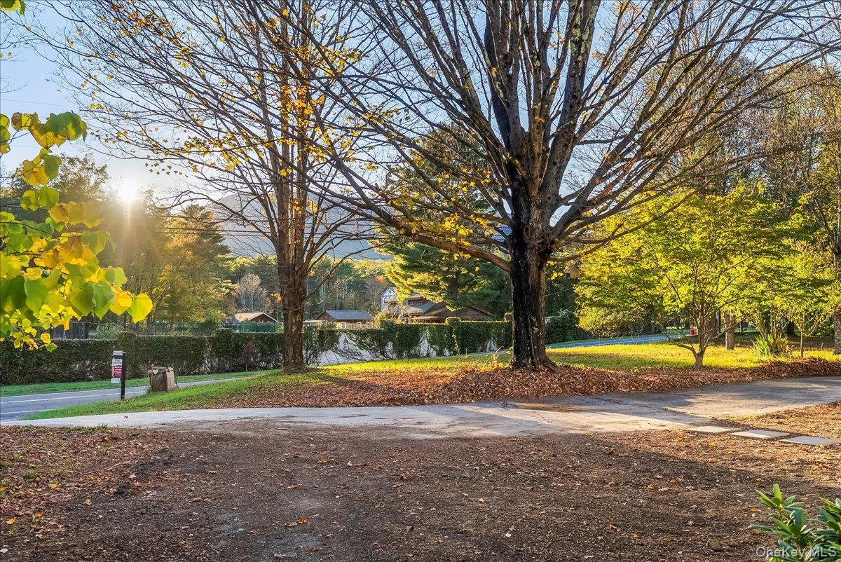 Single Family Hearts Content  Greene County, NY 12413, MLS-909223-40