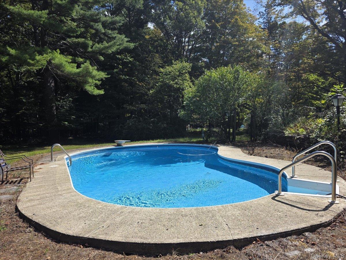 Single Family Hearts Content  Greene County, NY 12413, MLS-909223-7