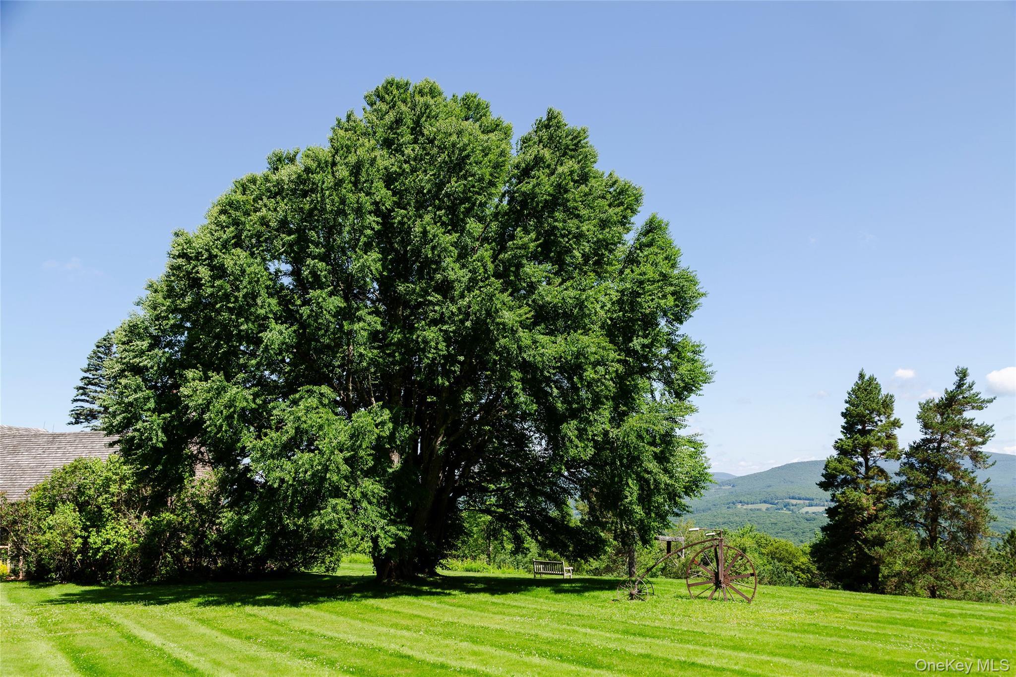 Single Family Galli Curci  Delaware County, NY 12455, MLS-909245-7