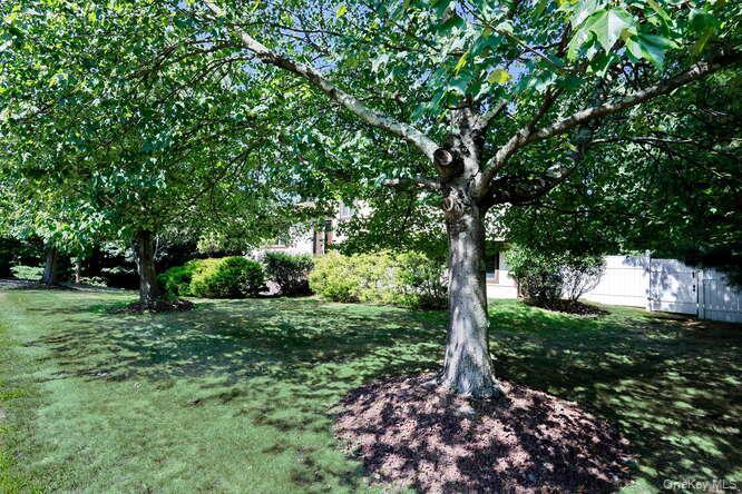 Single Family Martino  Rockland County, NY 10970, MLS-909299-48