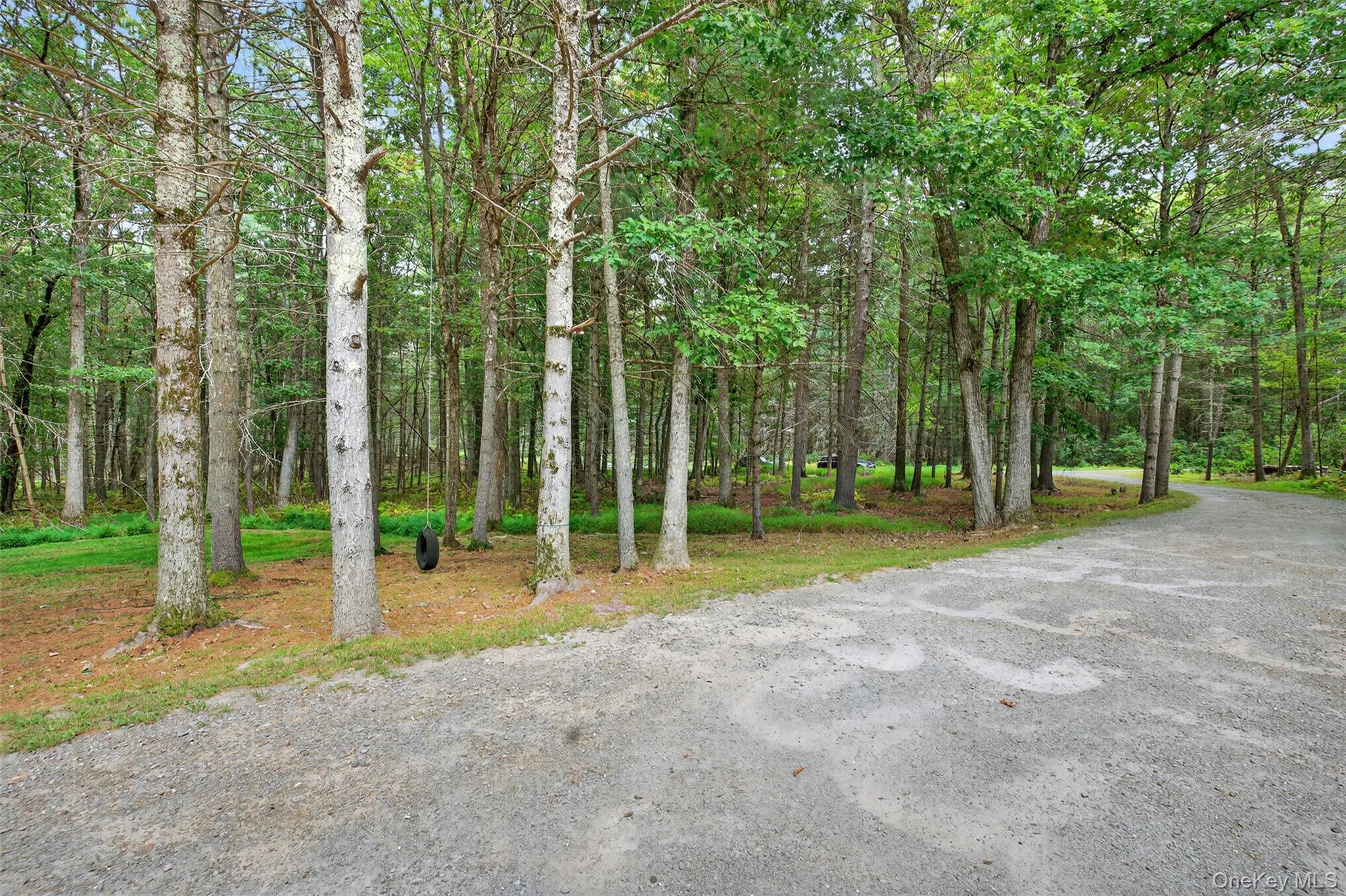 Single Family Summit  Sullivan County, NY 12719, MLS-909365-10