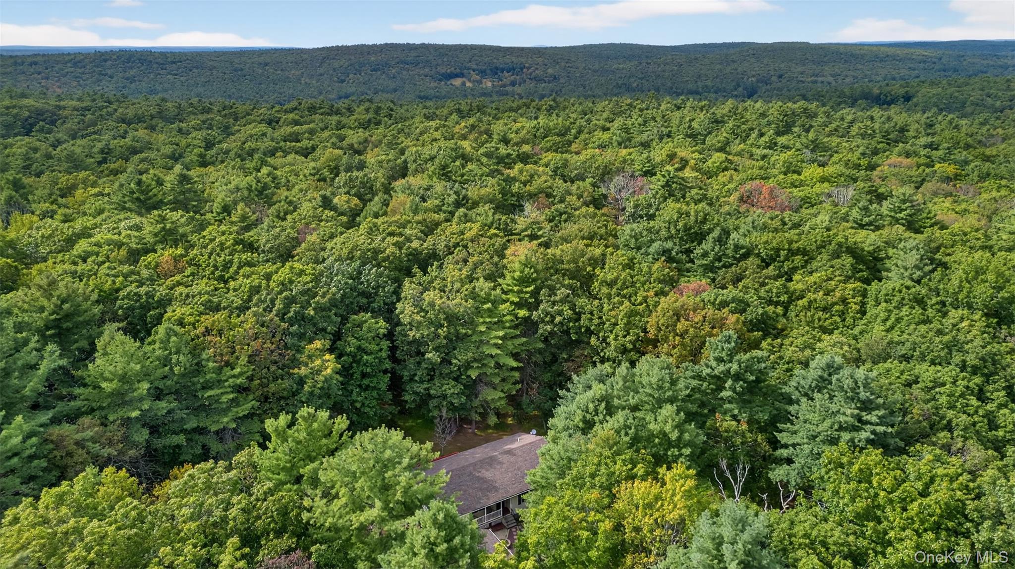 Single Family Summit  Sullivan County, NY 12719, MLS-909365-43