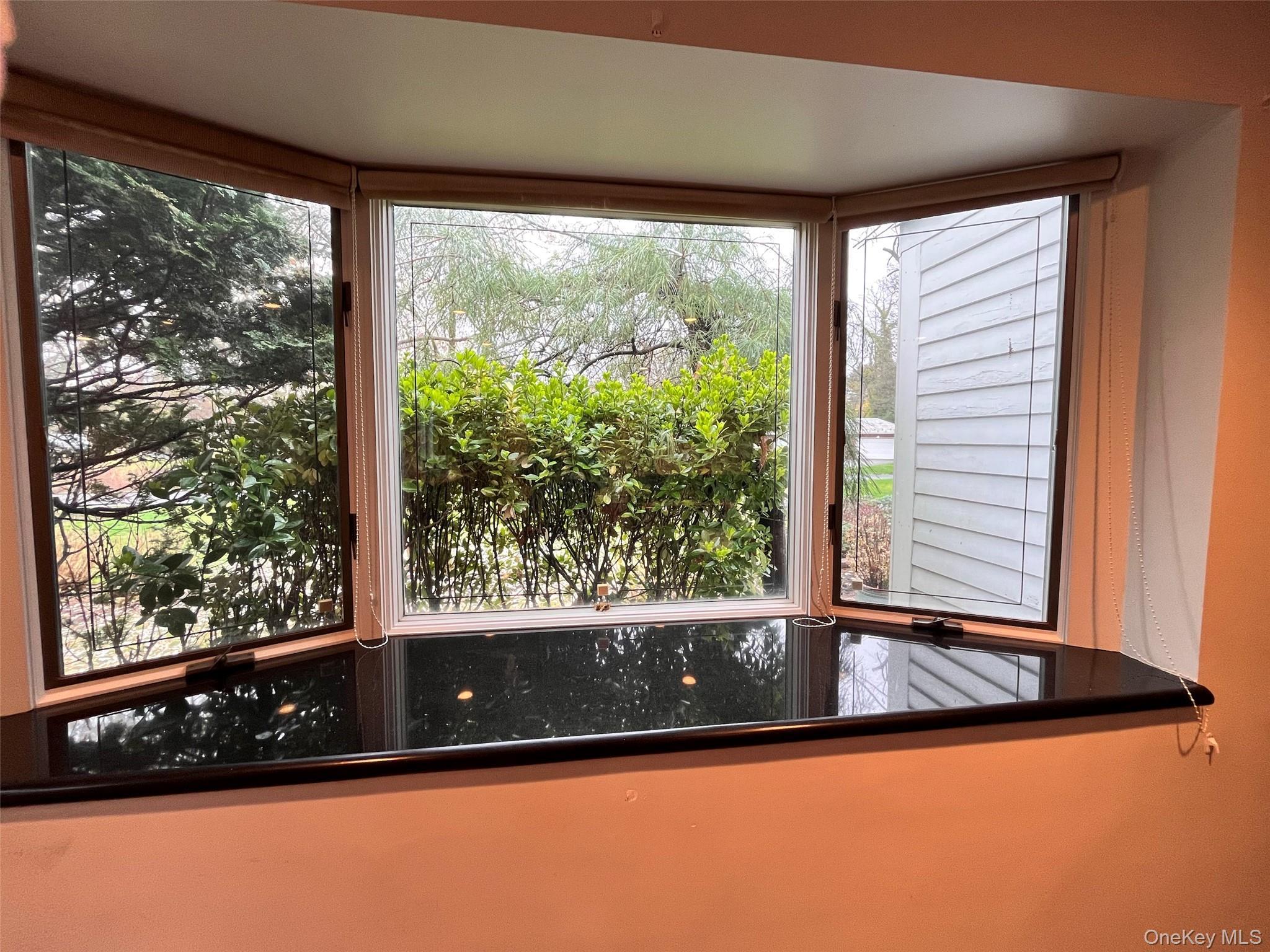 Single Family Polo Field Nassau County, NY 11020, MLS-909399-10