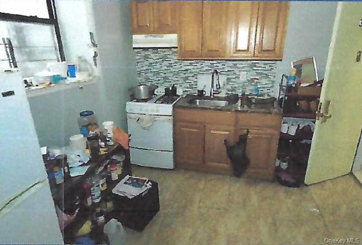 Commercial Sale Avenue L Brooklyn, NY 11236, MLS-909411-11