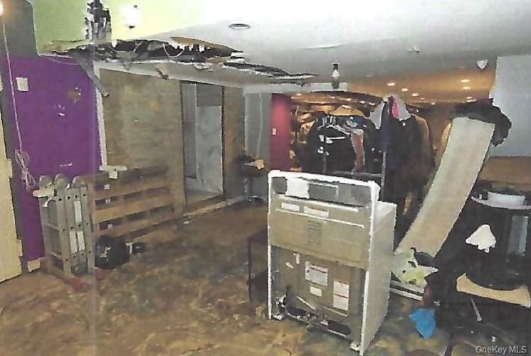 Commercial Sale Avenue L Brooklyn, NY 11236, MLS-909411-31