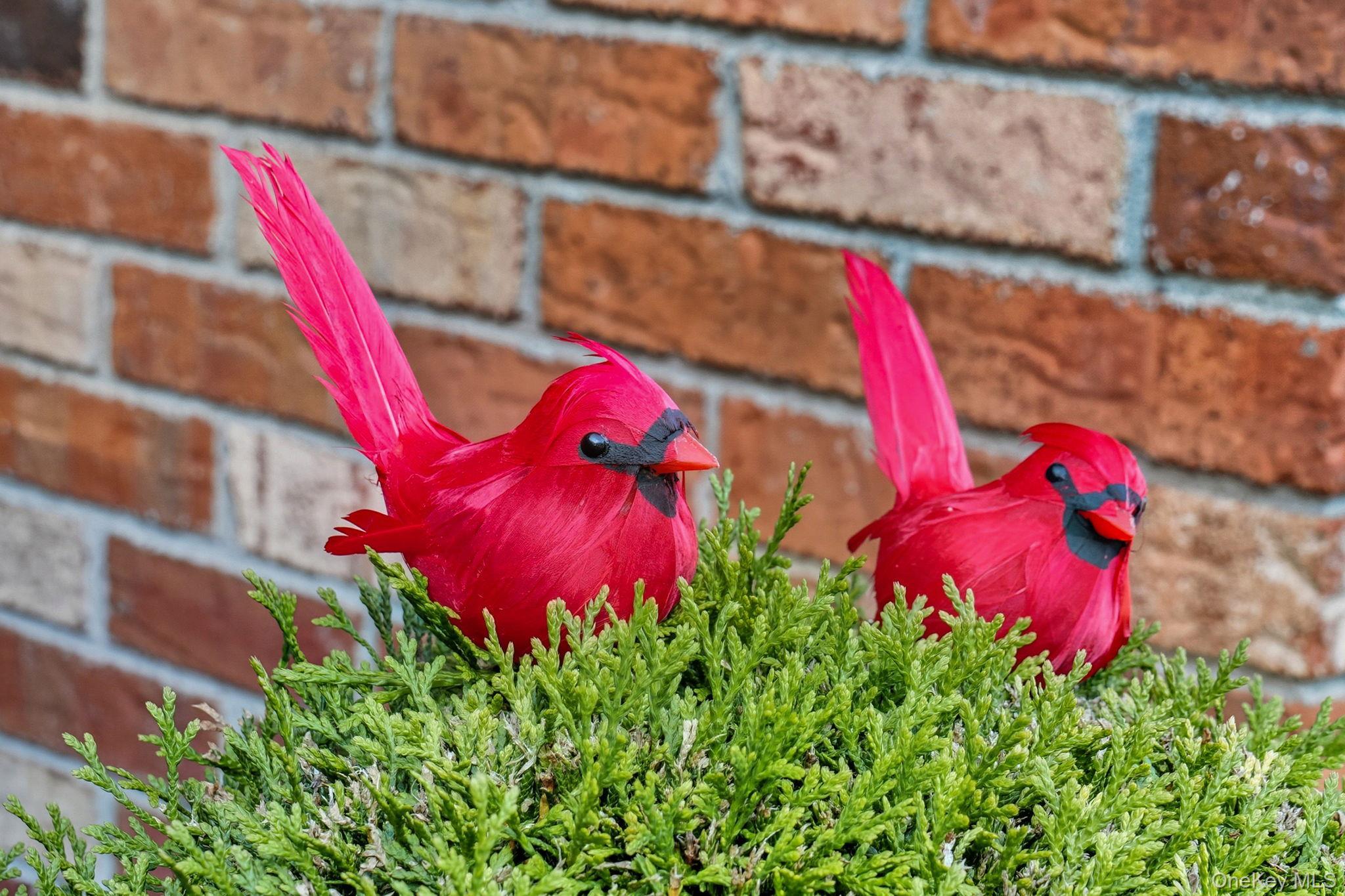 Single Family Red Hawk  Dutchess County, NY 12601, MLS-909444-40