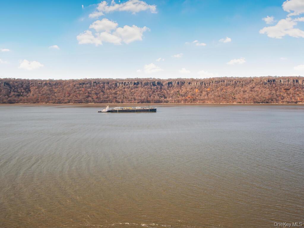 Condo Water Grant  Westchester County, NY 10701, MLS-909512-10