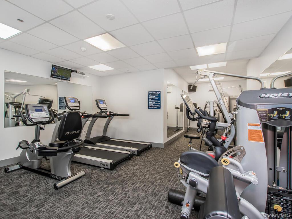 Condo Water Grant  Westchester County, NY 10701, MLS-909512-19