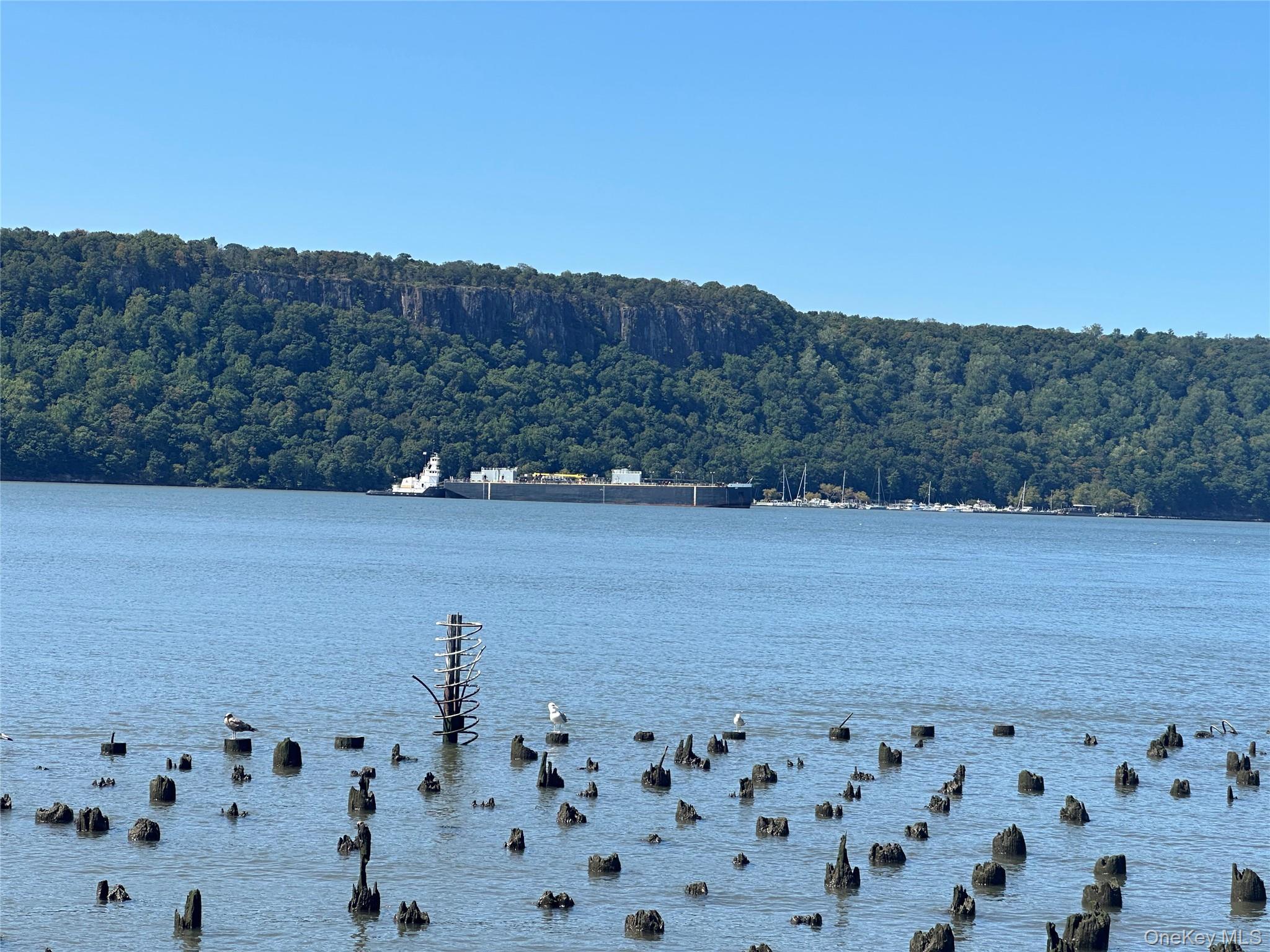 Condo Water Grant  Westchester County, NY 10701, MLS-909512-34