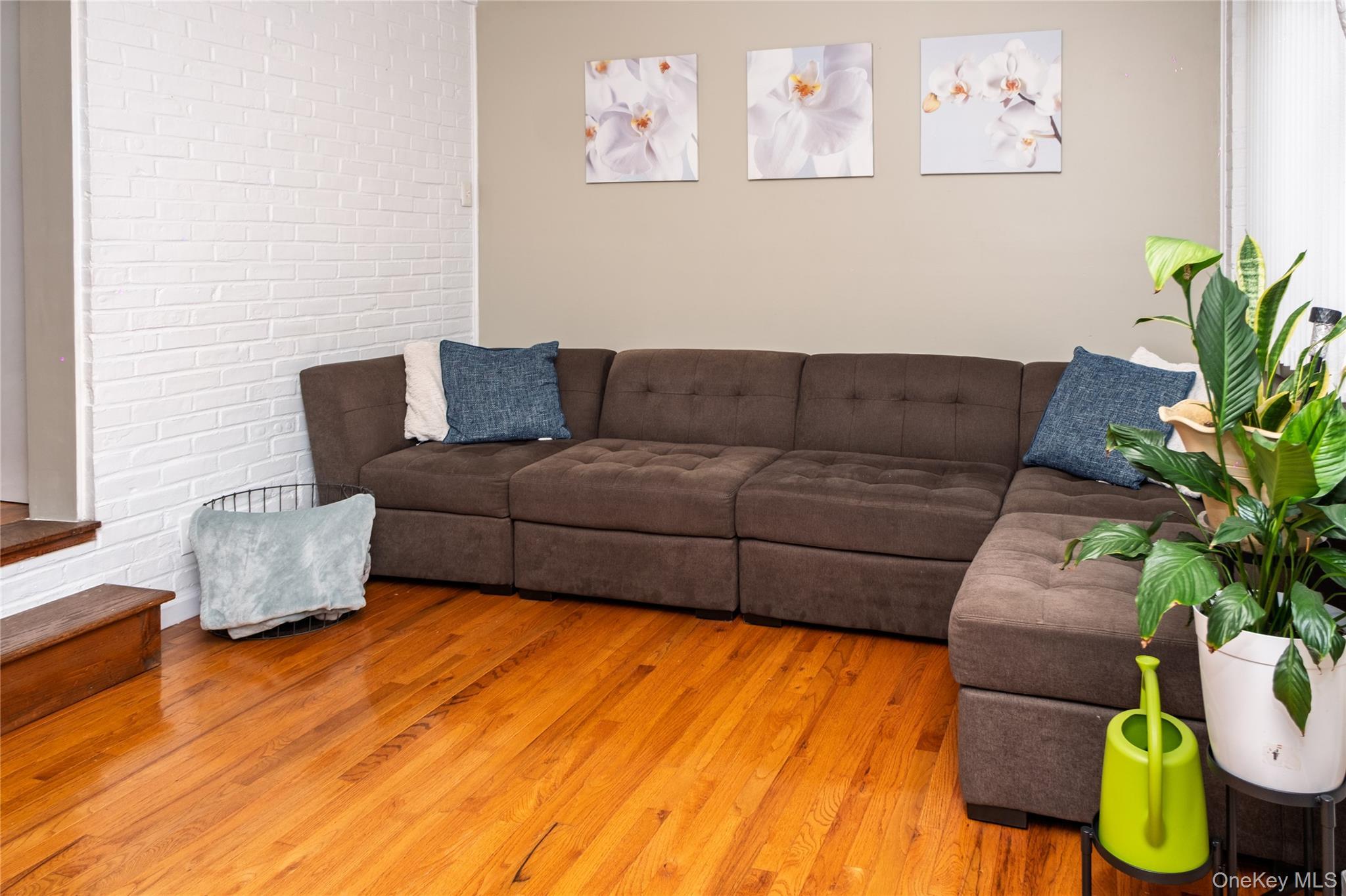 Single Family Elton  Nassau County, NY 11530, MLS-909541-10