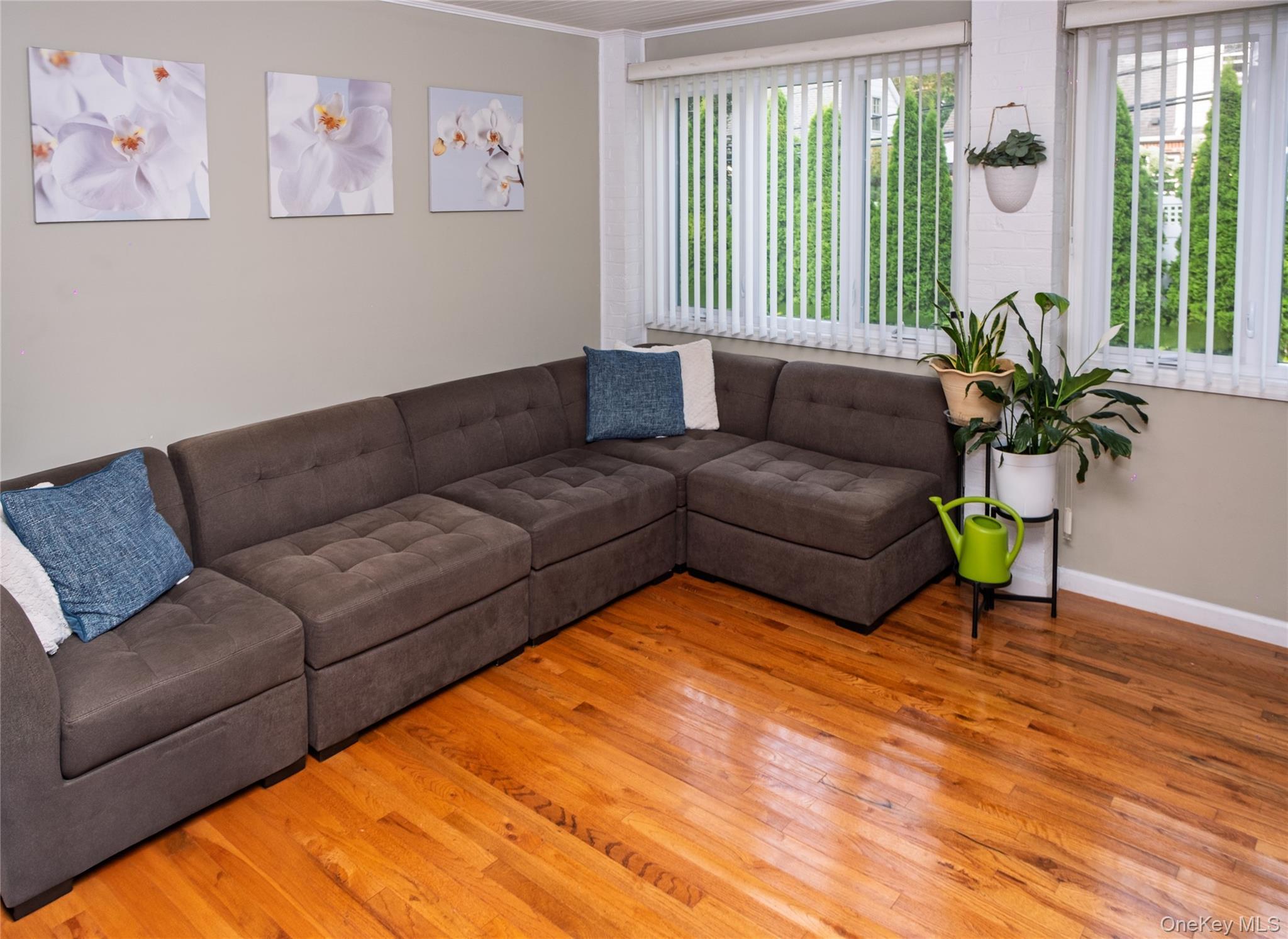 Single Family Elton  Nassau County, NY 11530, MLS-909541-9