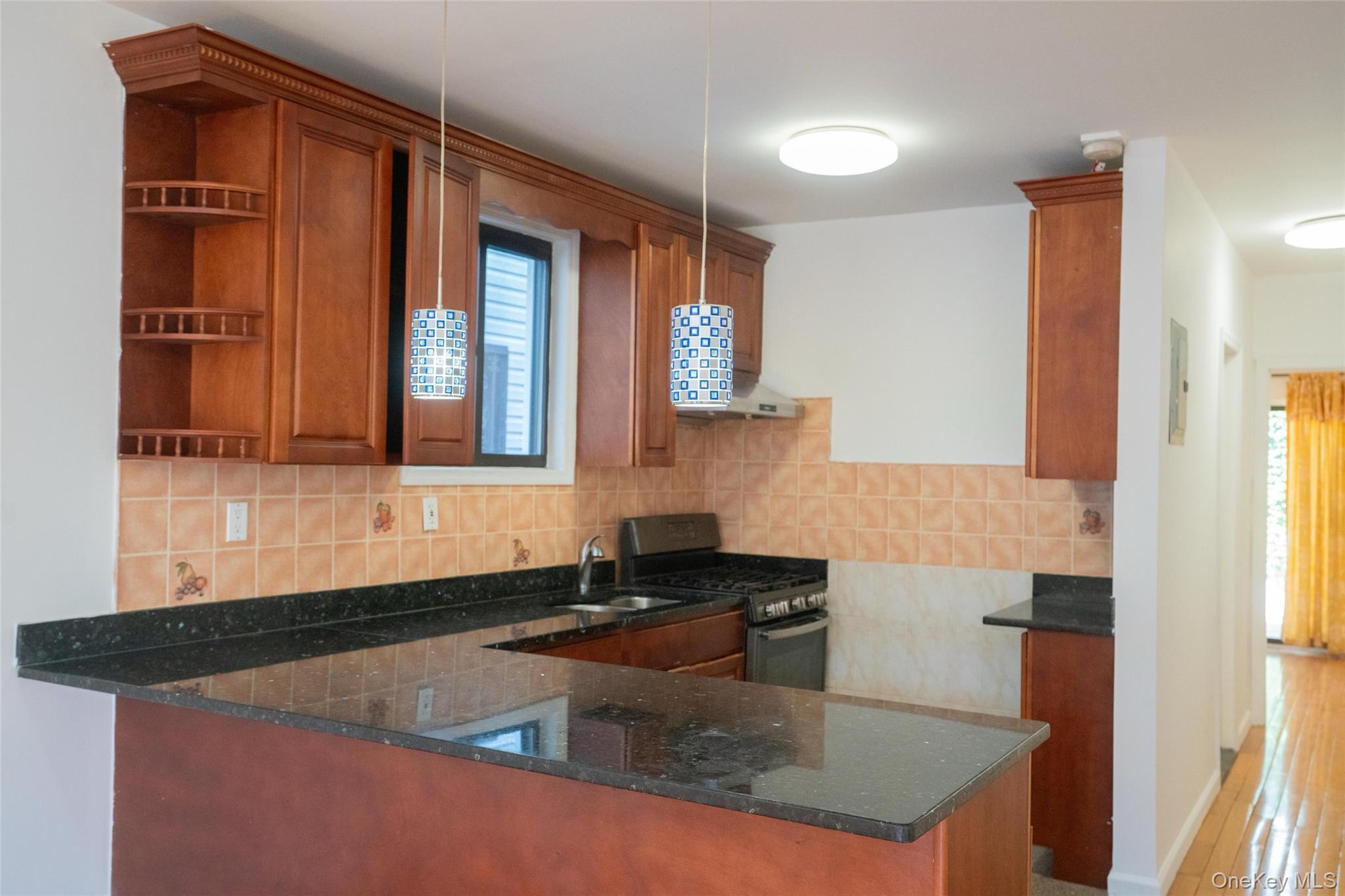 Single Family 14th  Queens, NY 11356, MLS-909592-3