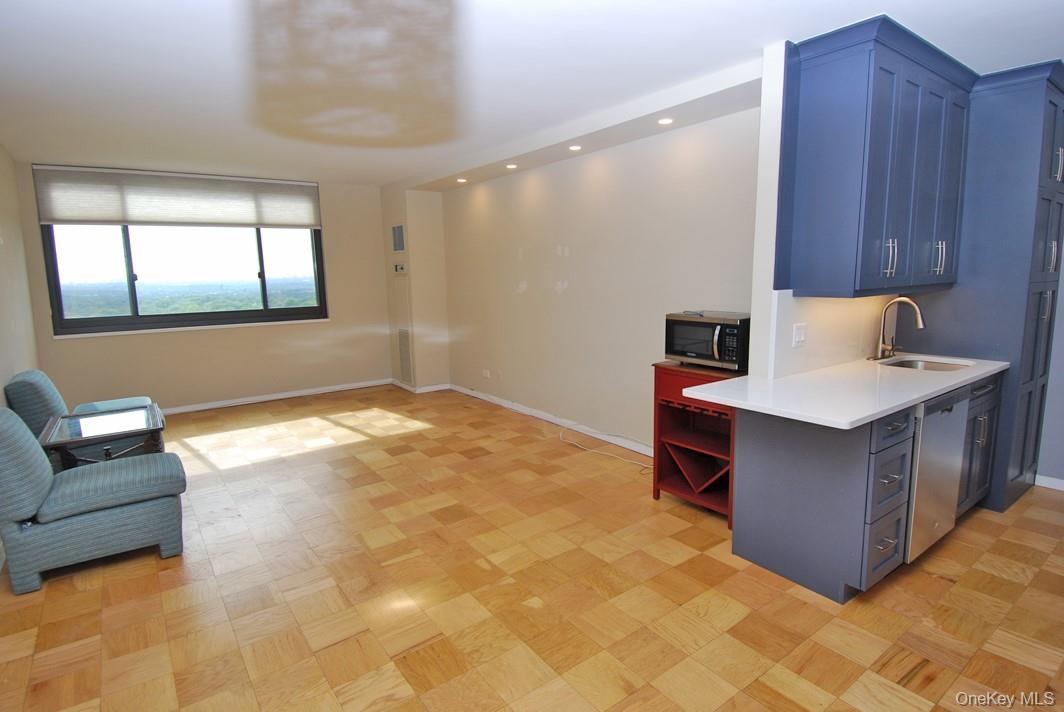 Coop Grand Central  Queens, NY 11005, MLS-909612-5