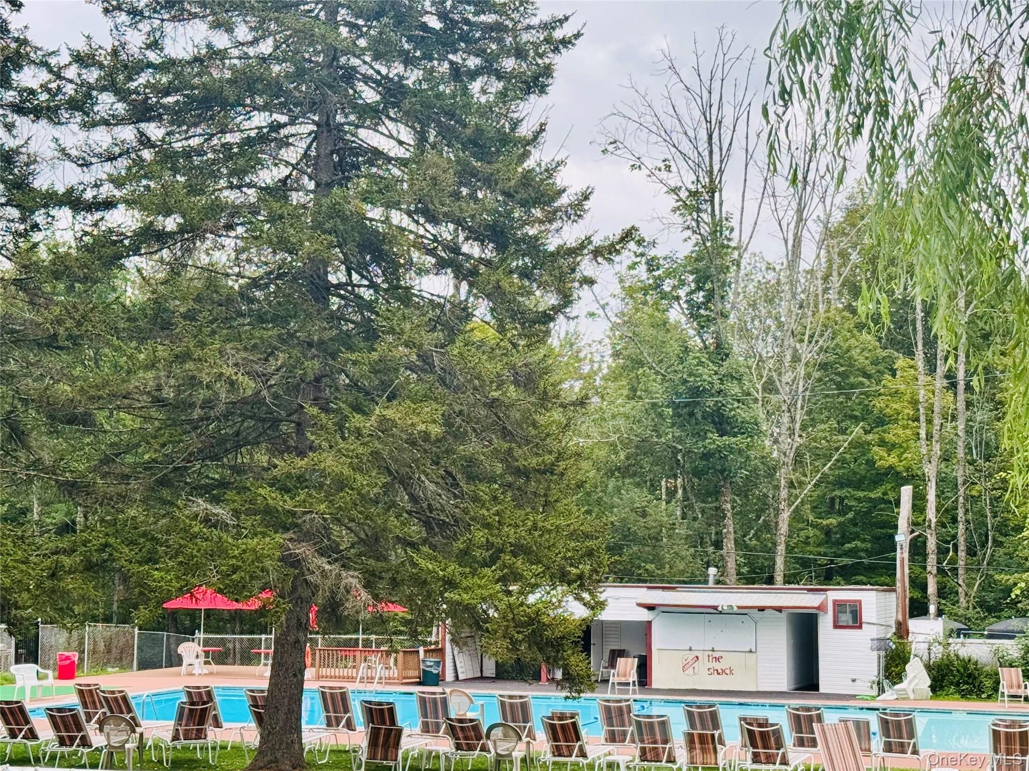 Coop Rd  Sullivan County, NY 12788, MLS-909669-19