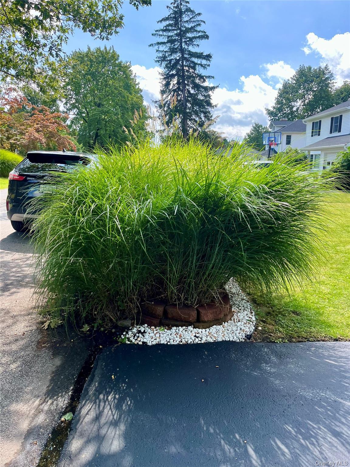 Single Family Island View Orange County, NY 10950, MLS-909689-44