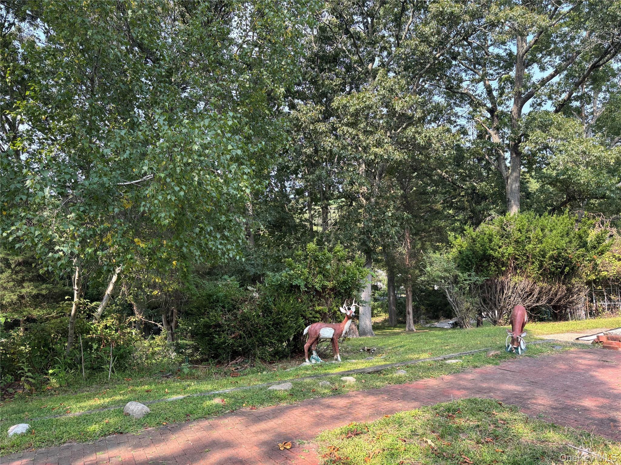 Single Family Rocklein  Suffolk County, NY 11792, MLS-909711-16