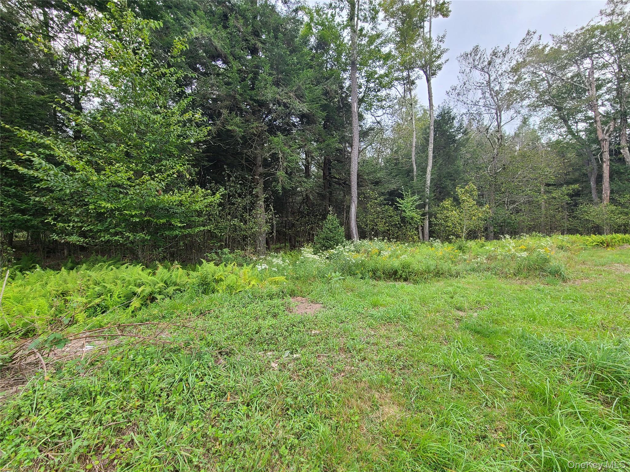 Single Family Benton Hollow  Sullivan County, NY 12754, MLS-909772-29