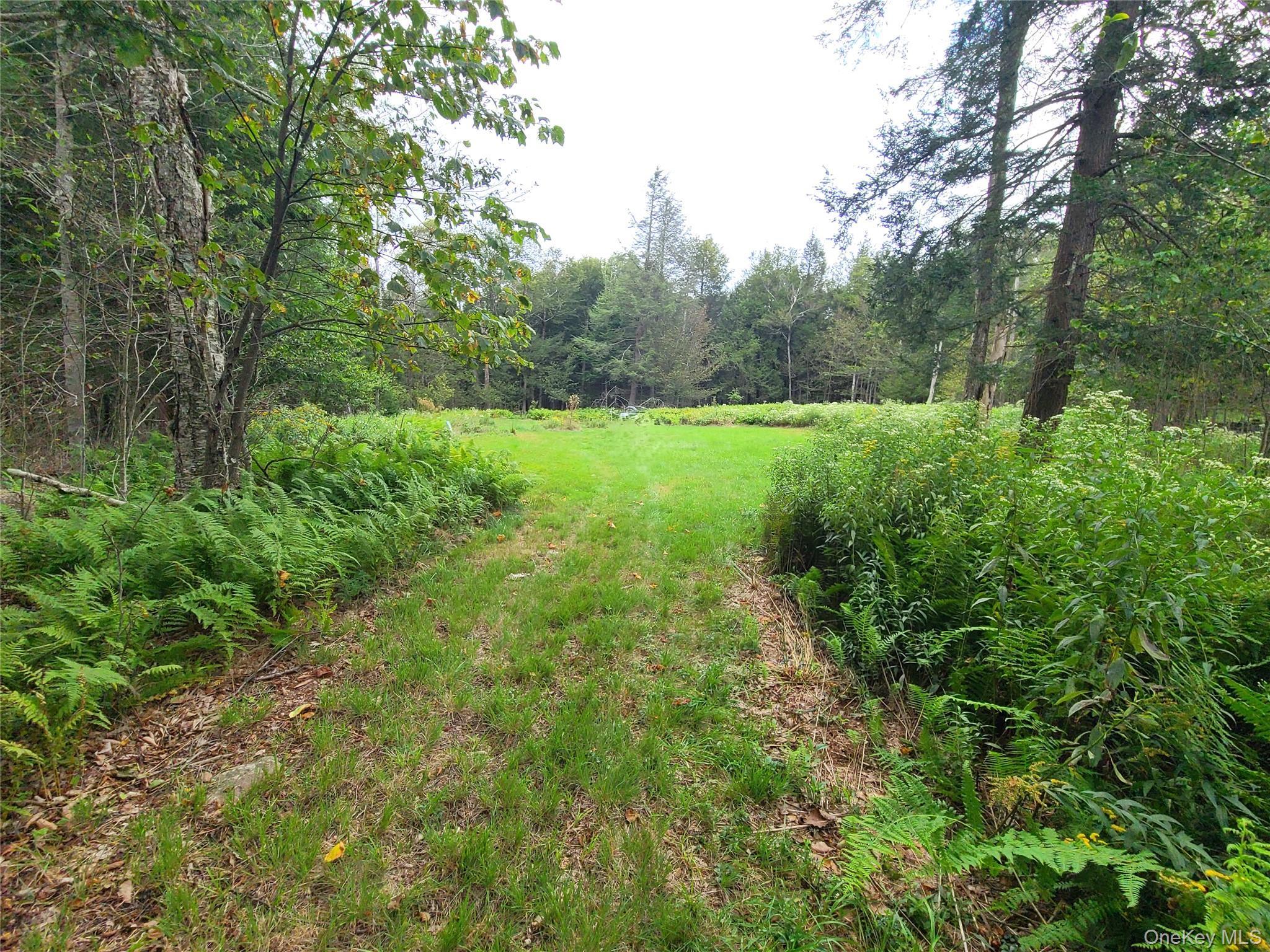 Single Family Benton Hollow  Sullivan County, NY 12754, MLS-909772-31