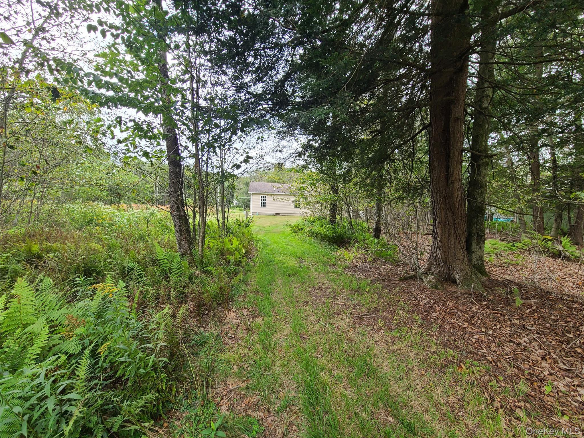 Single Family Benton Hollow  Sullivan County, NY 12754, MLS-909772-4