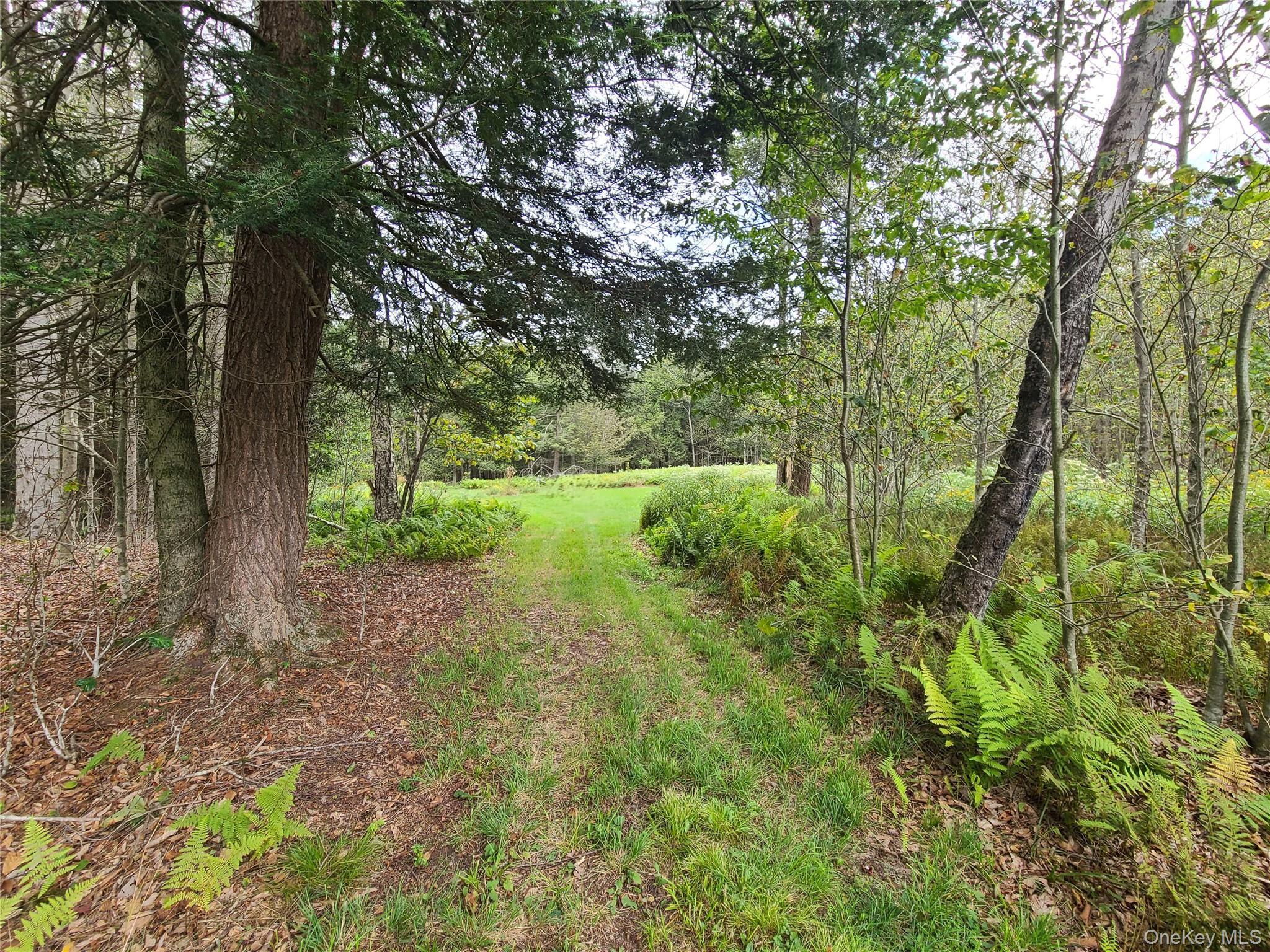 Single Family Benton Hollow  Sullivan County, NY 12754, MLS-909772-5