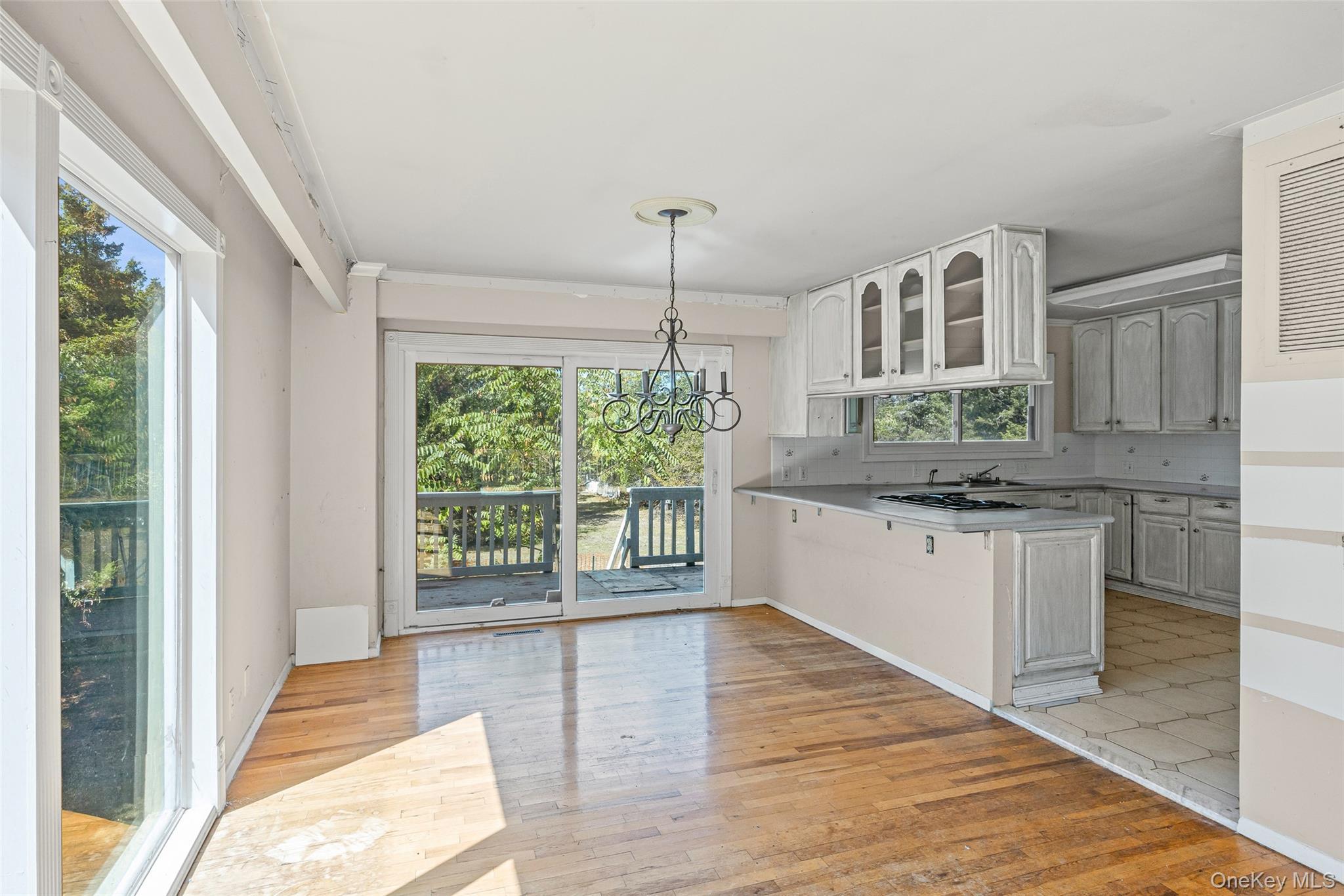 Single Family Beach Plum  Suffolk County, NY 11768, MLS-909851-14