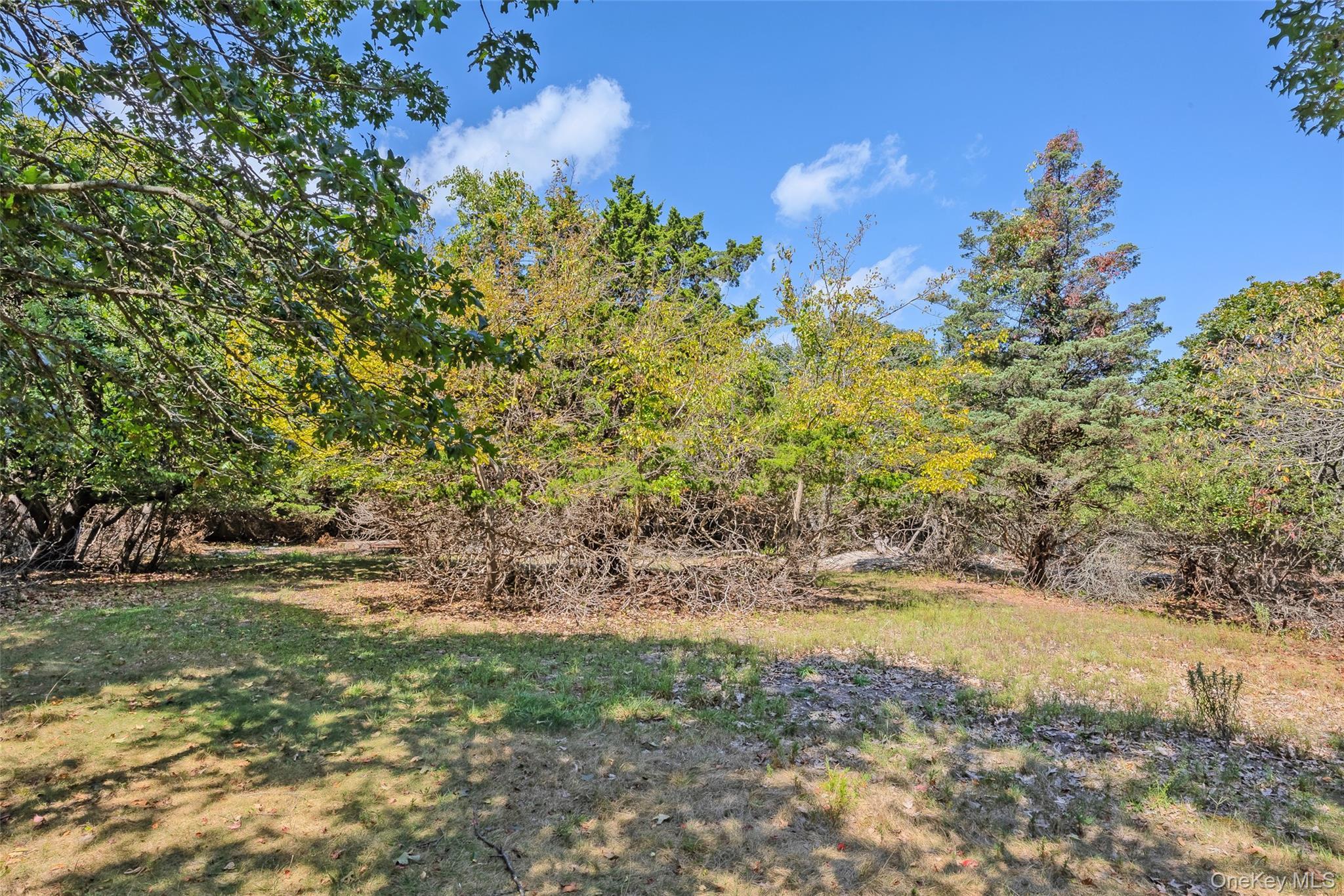 Single Family Beach Plum  Suffolk County, NY 11768, MLS-909851-34