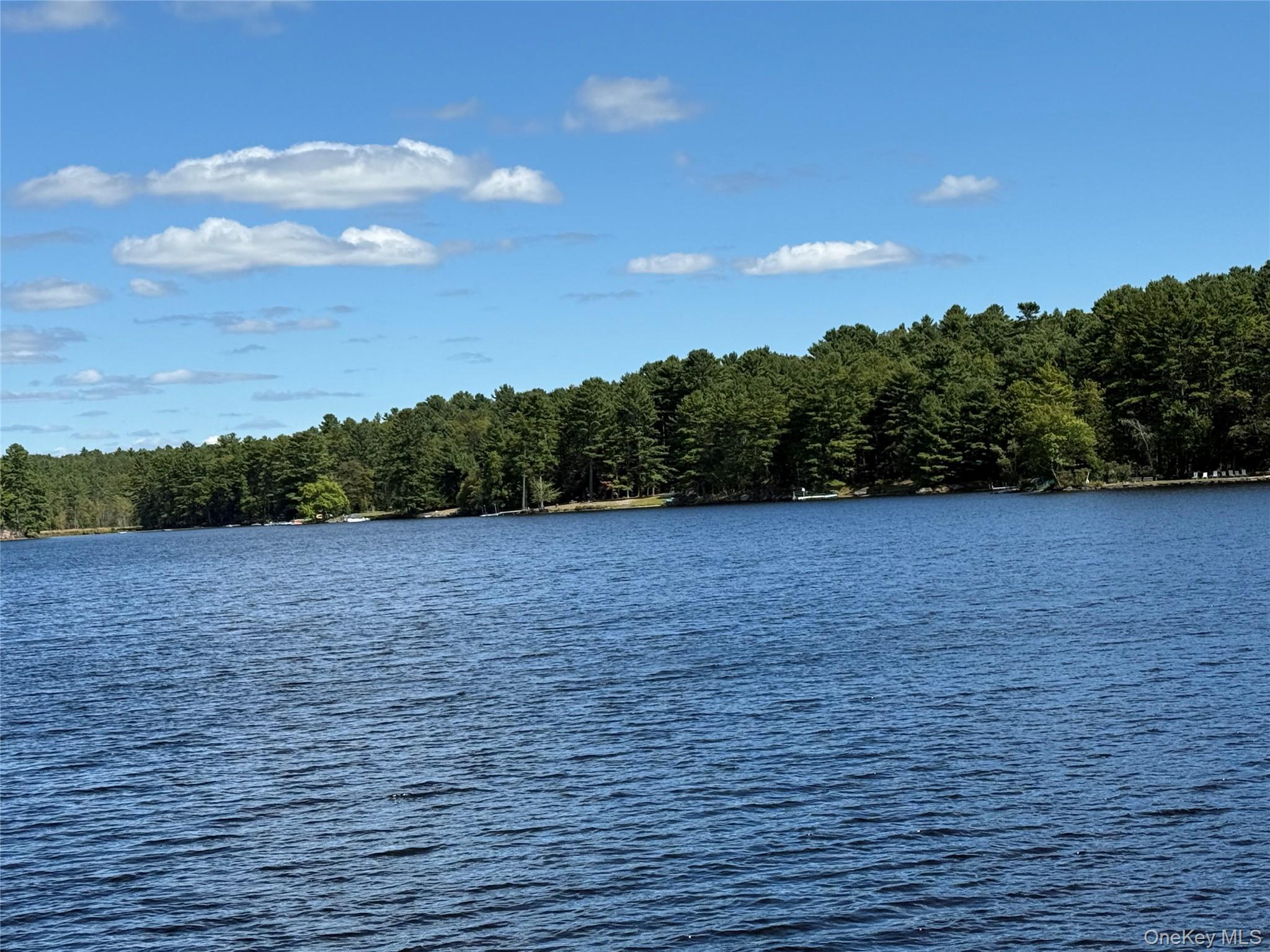 Single Family Oneida  Sullivan County, NY 12737, MLS-909896-4