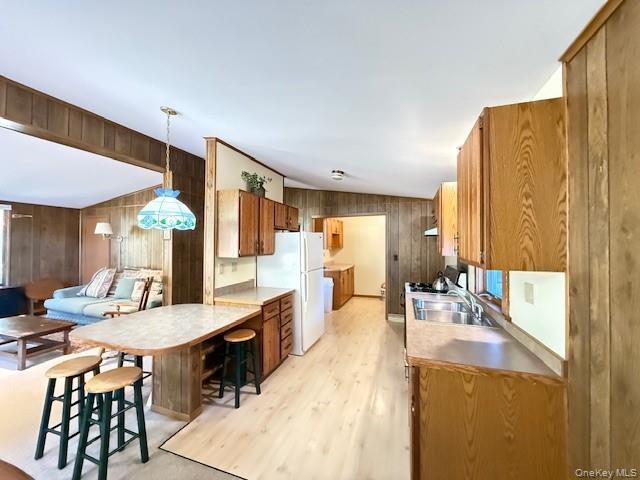 Single Family Andrew Paye  Sullivan County, NY 12770, MLS-909908-10