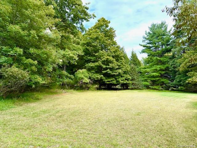 Single Family Andrew Paye  Sullivan County, NY 12770, MLS-909908-15