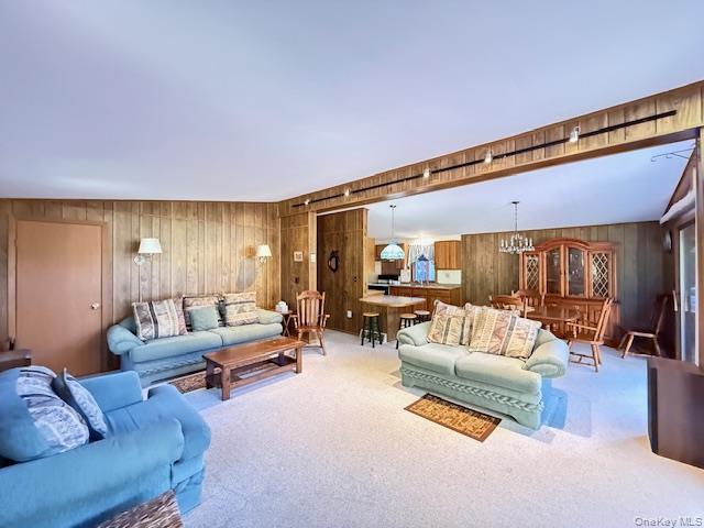 Single Family Andrew Paye  Sullivan County, NY 12770, MLS-909908-6