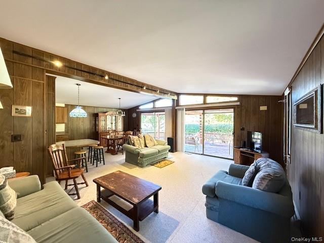 Single Family Andrew Paye  Sullivan County, NY 12770, MLS-909908-7