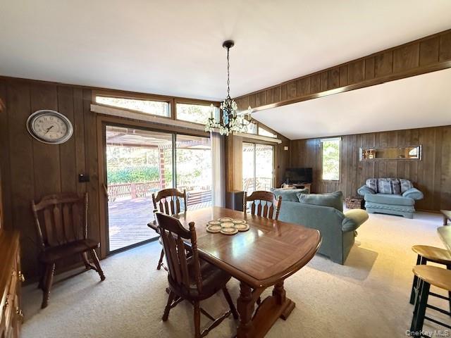 Single Family Andrew Paye  Sullivan County, NY 12770, MLS-909908-9