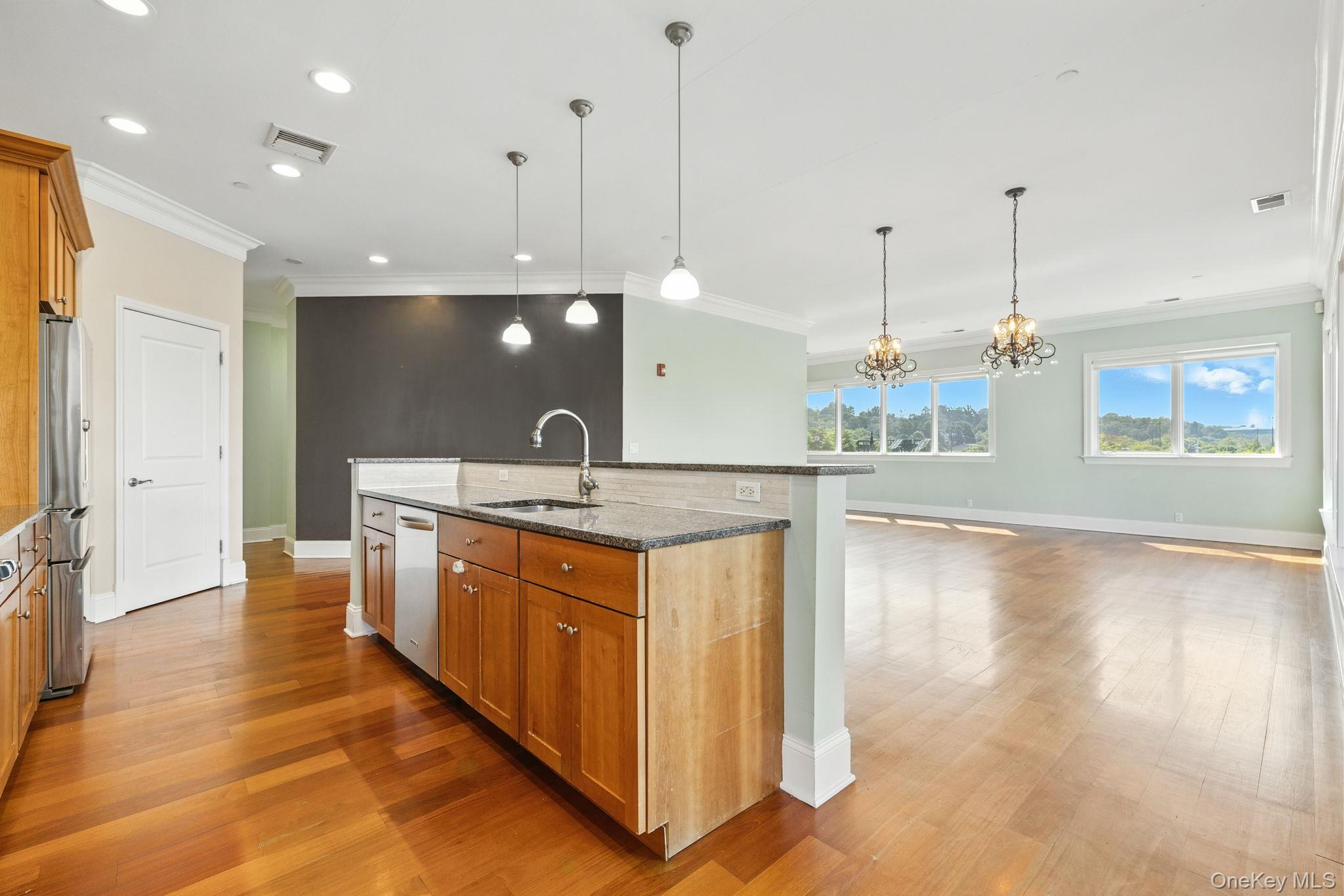 Condo Main  Westchester County, NY 10591, MLS-909991-2