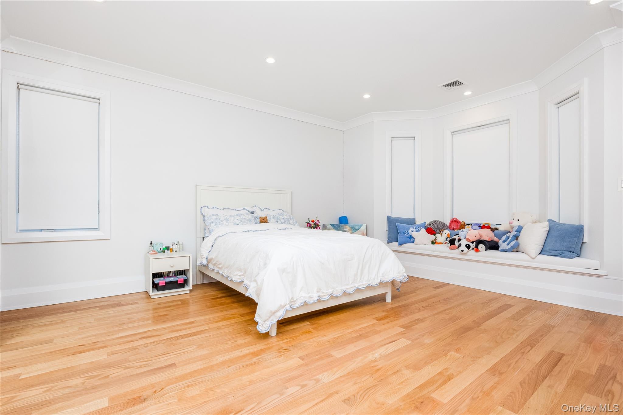 Single Family Nero Queens, NY 11423, MLS-910069-30