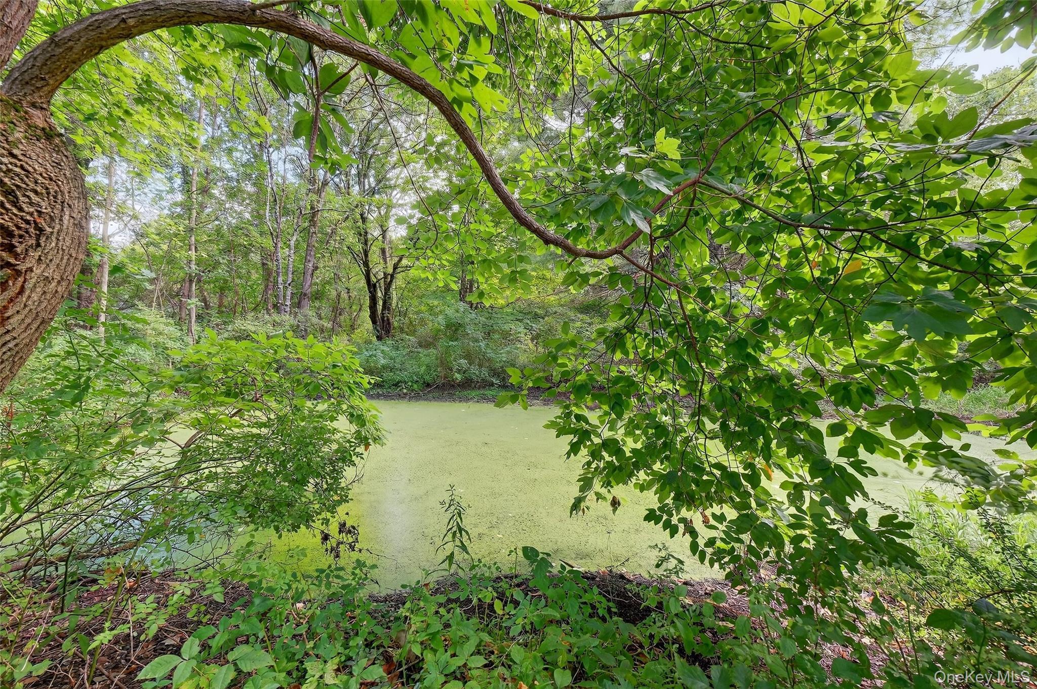 Single Family State Route 32 Ulster County, NY 12561, MLS-910221-40