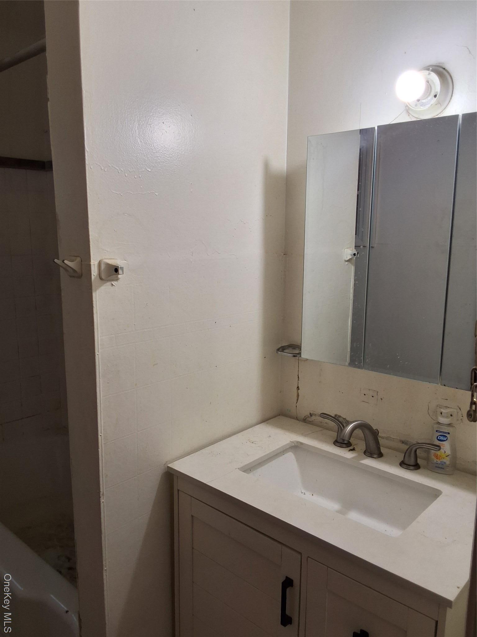 Single Family North  Sullivan County, NY 12721, MLS-910233-13