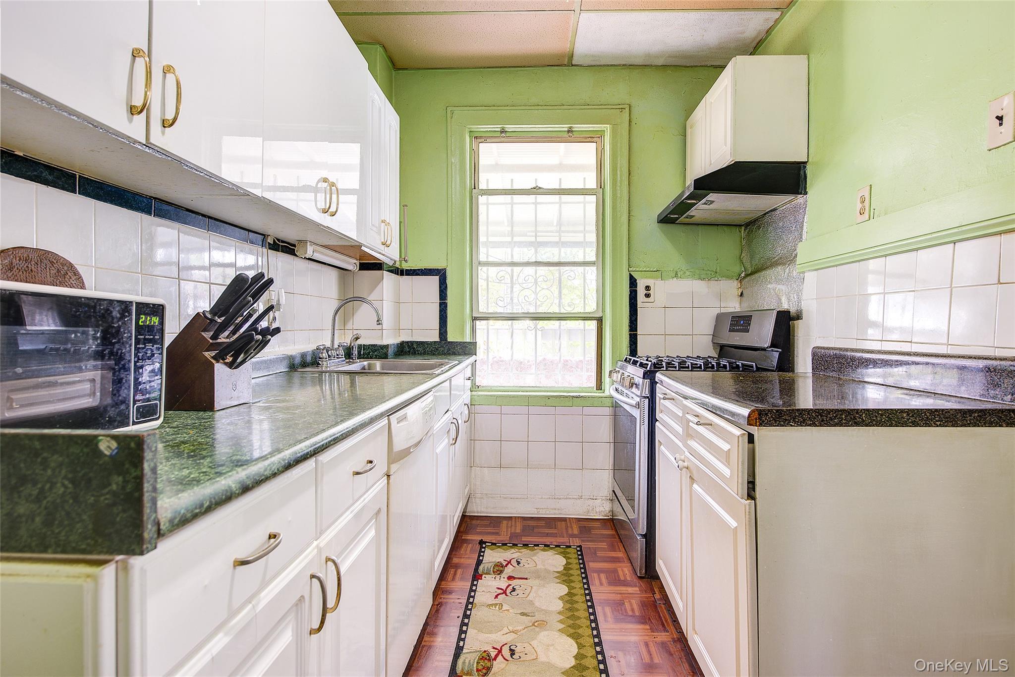 Single Family 129th  Queens, NY 11420, MLS-910236-13
